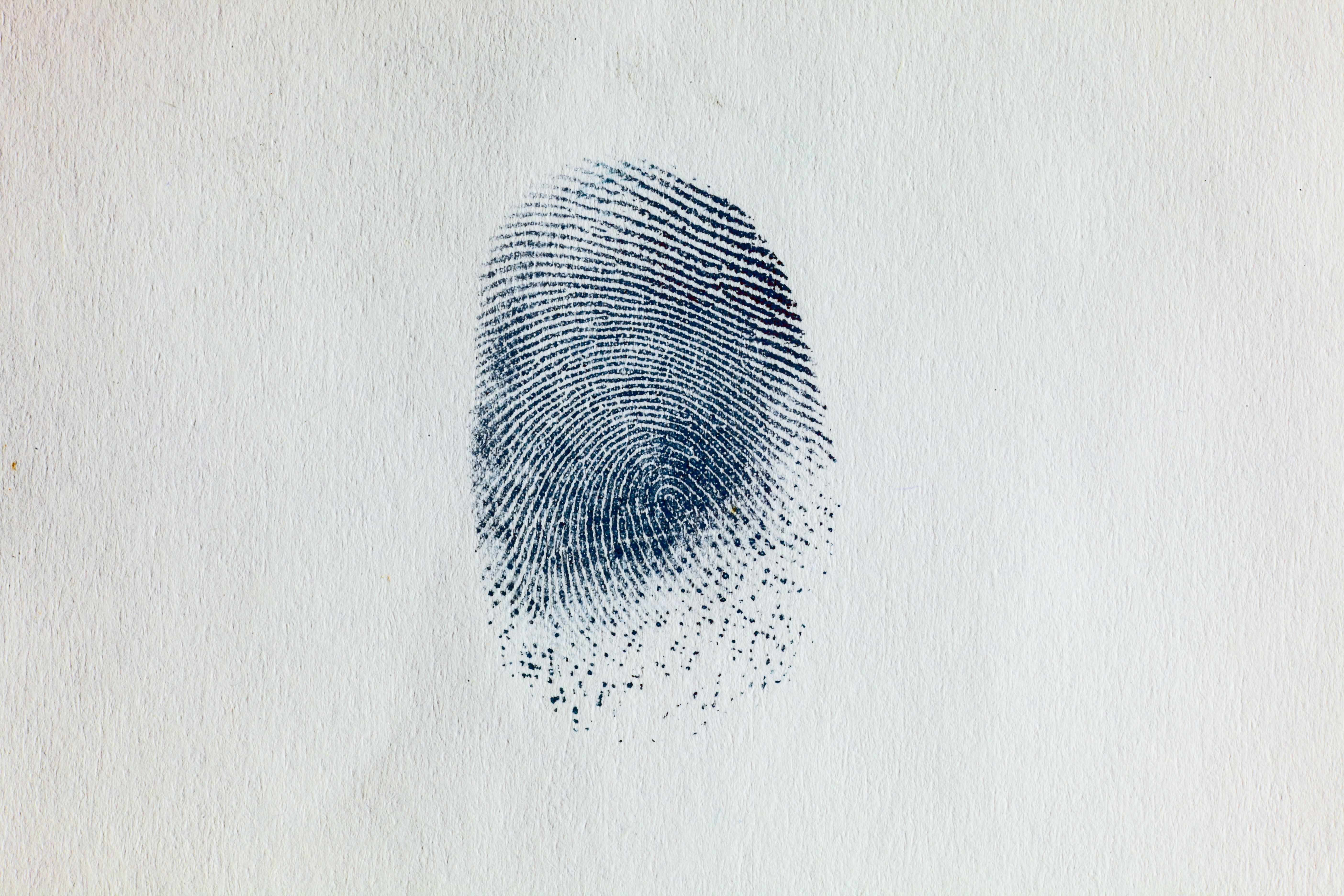 ink fingerprinting