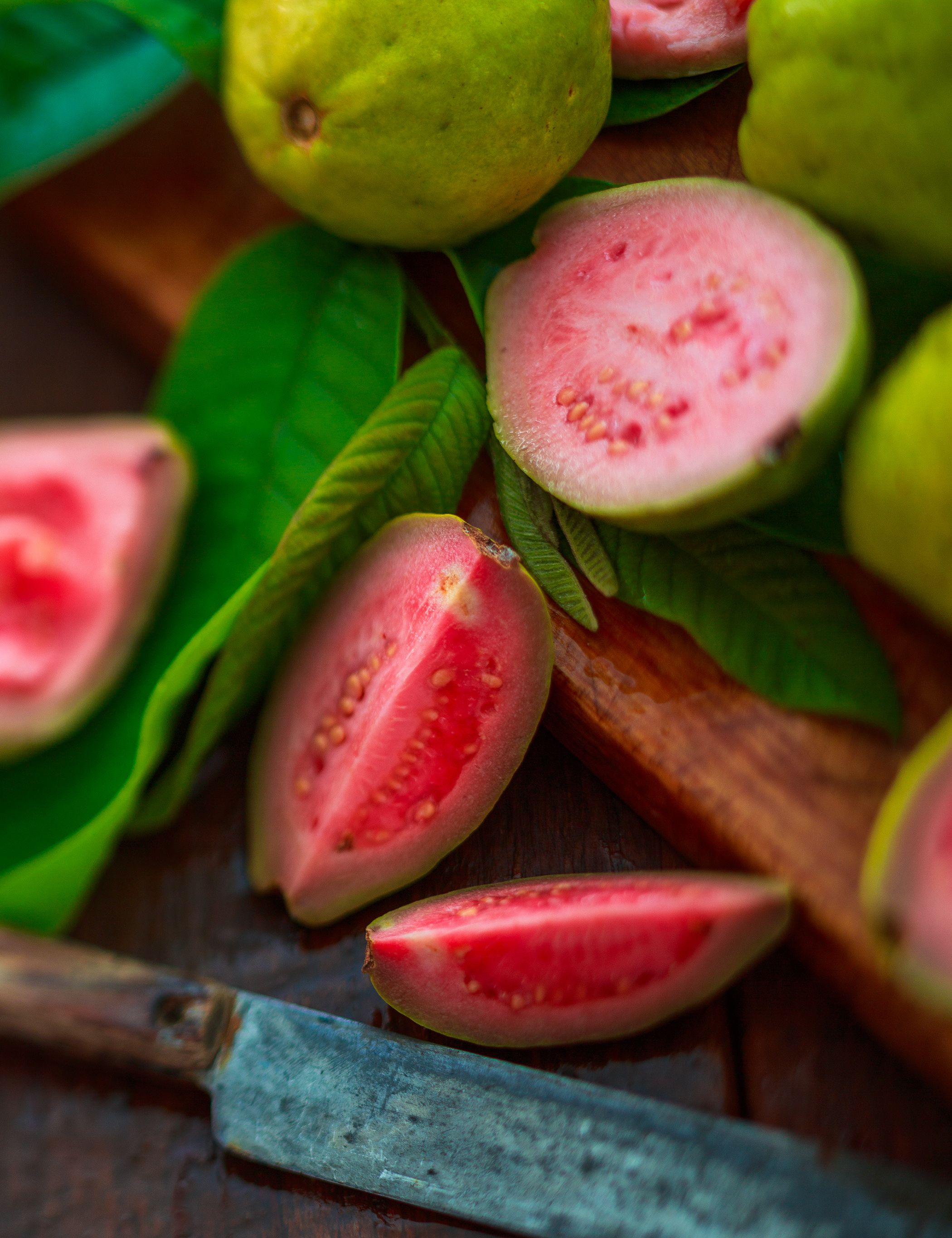 guava fruits guava fruits