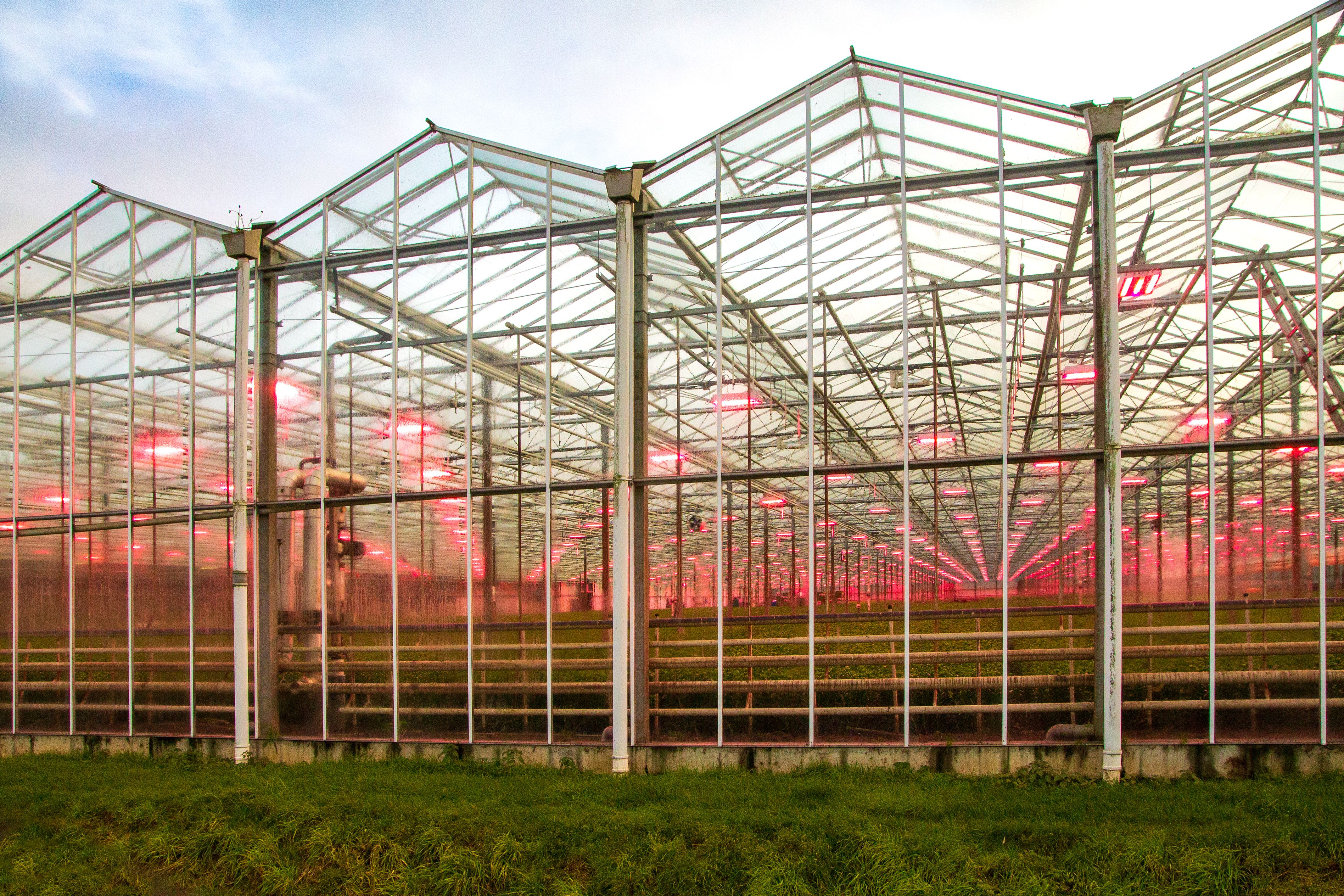 led display durability