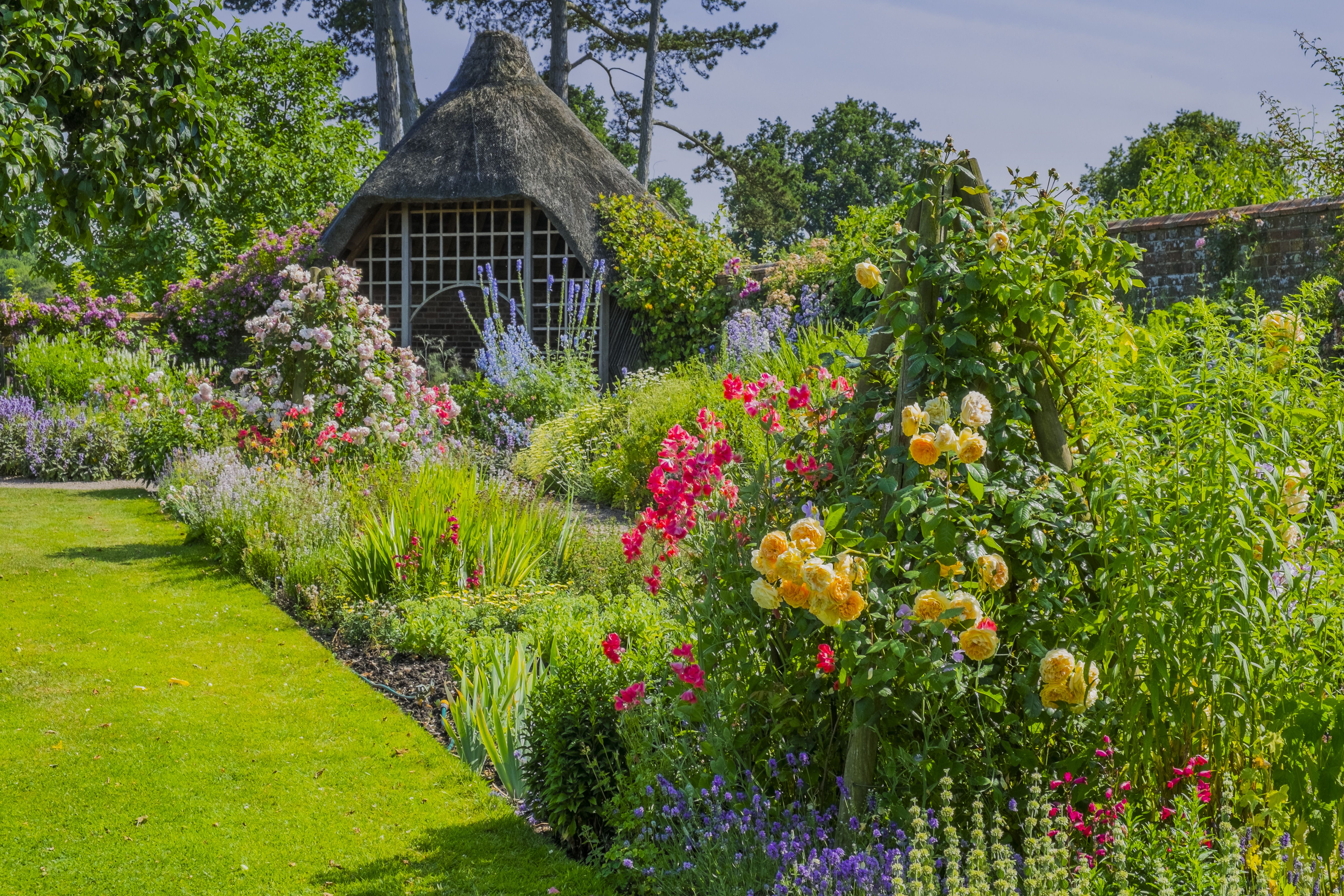 cottage garden