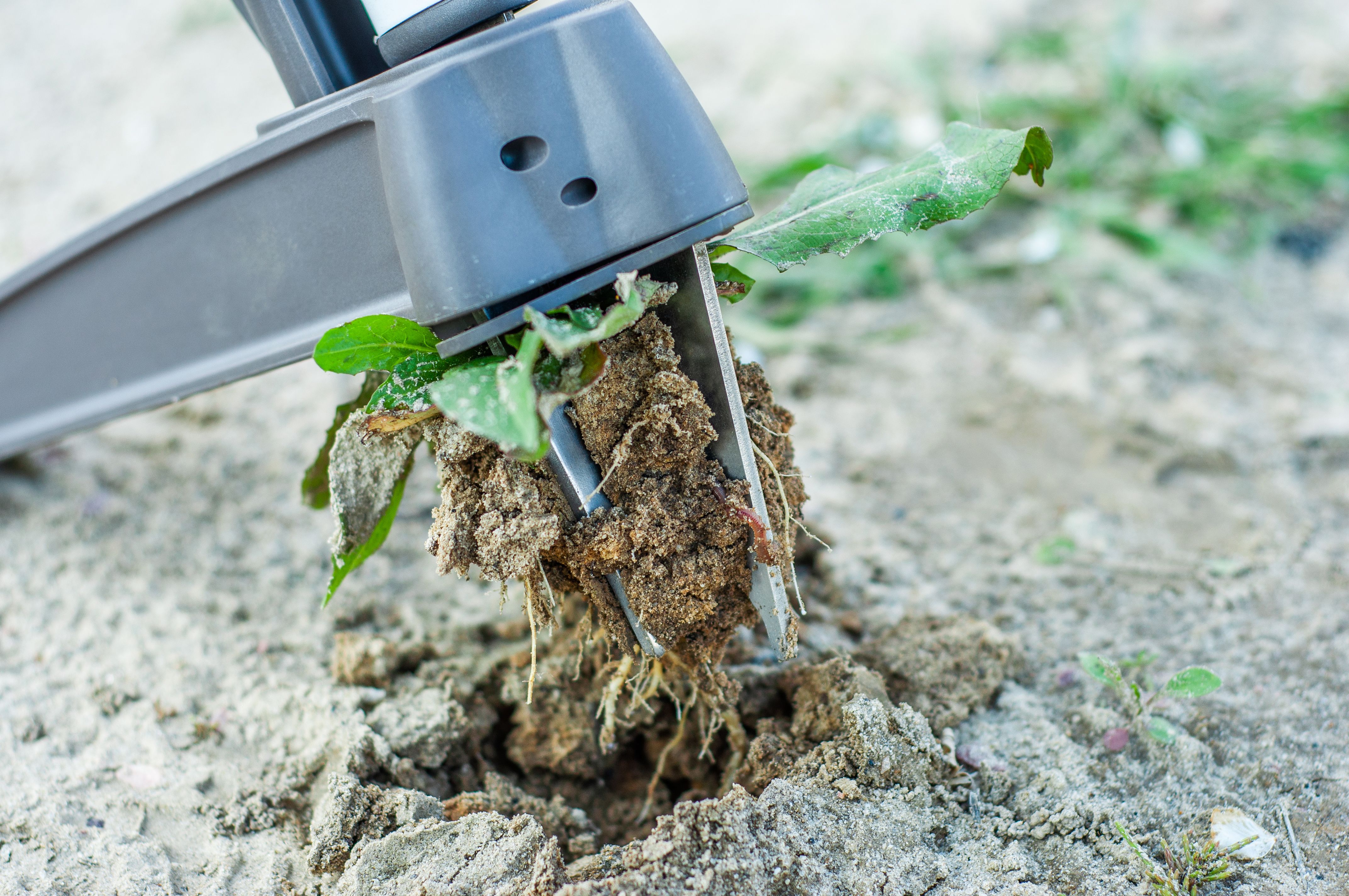 robotic weeder