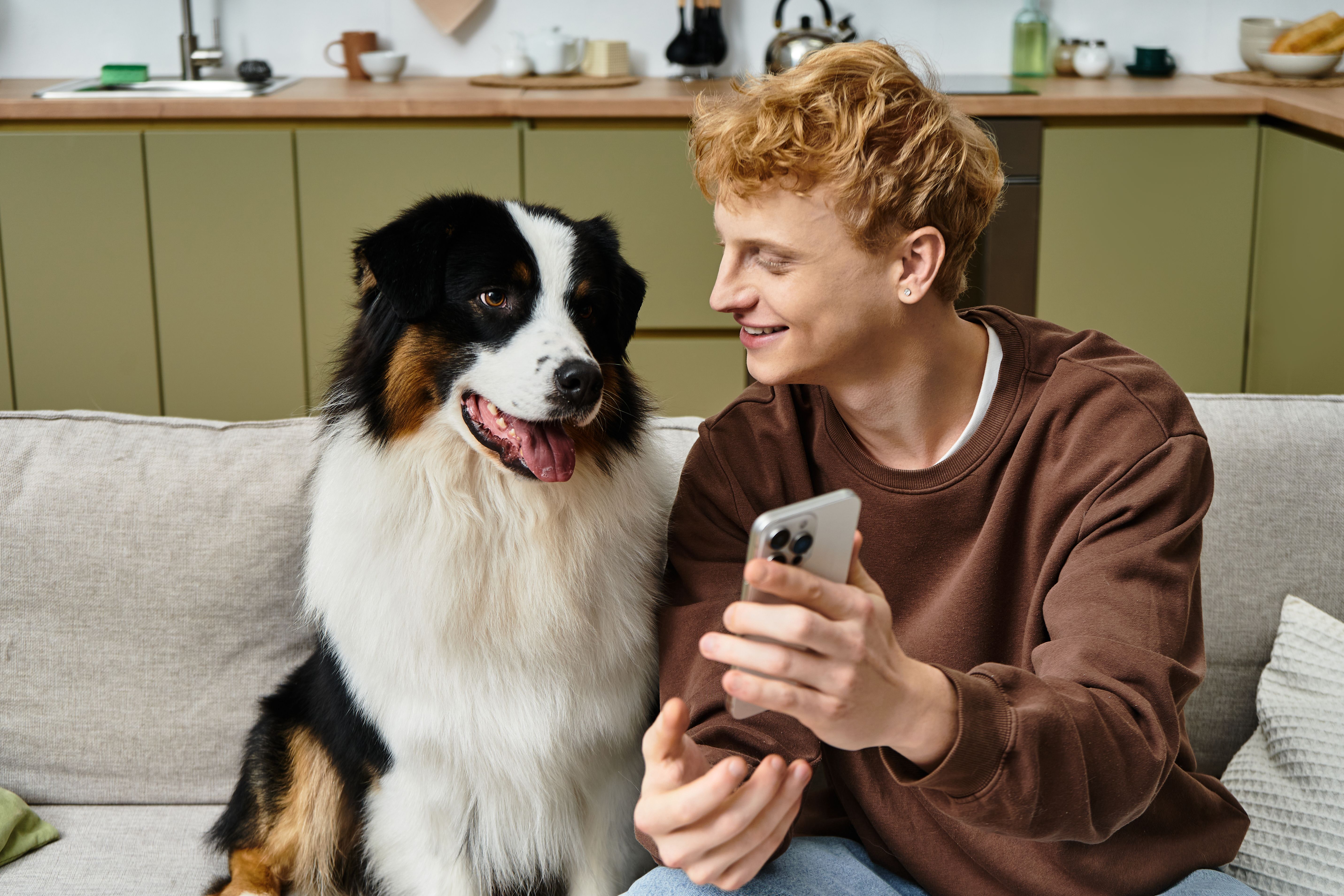 phone interview dog adoption