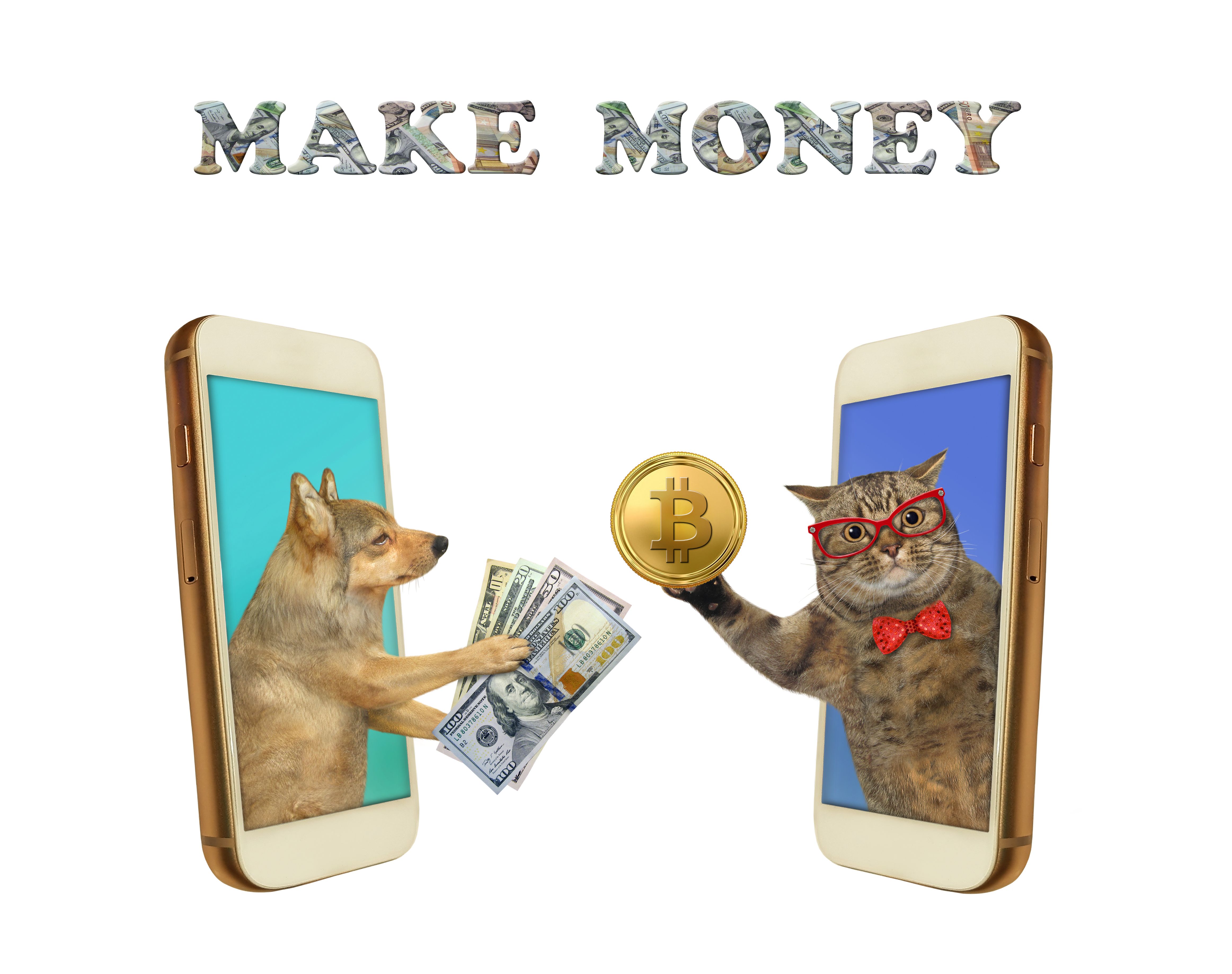 dog coin