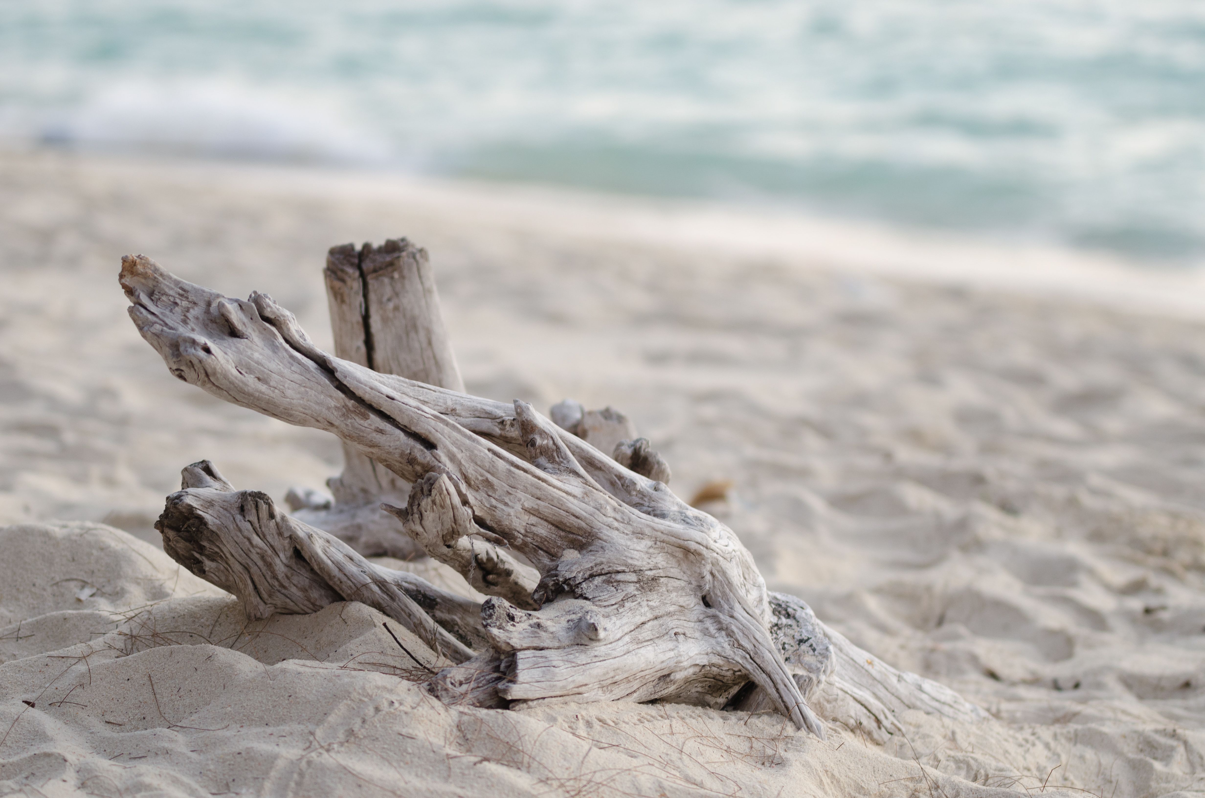 natural materials beach