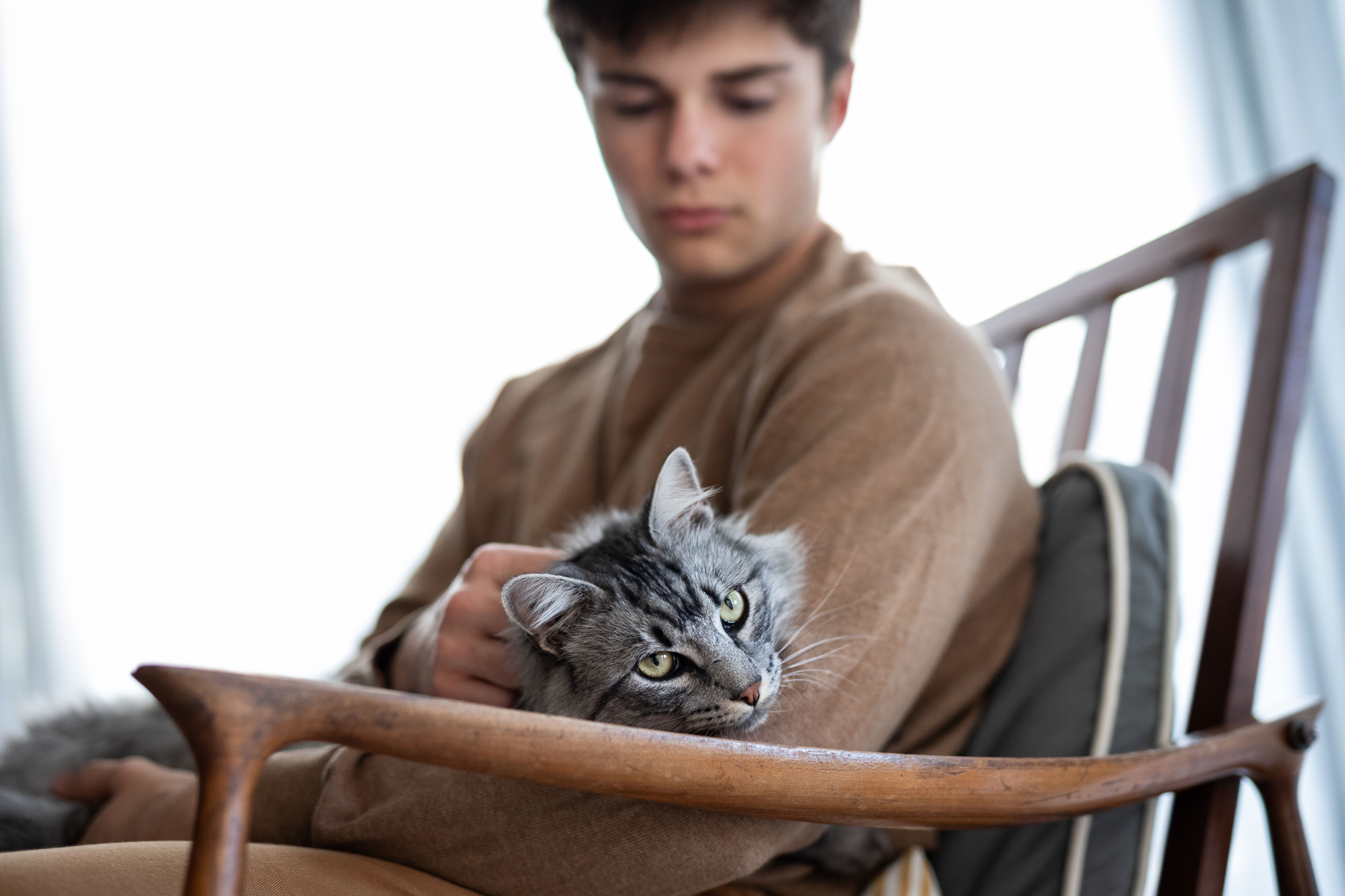 pet adoption