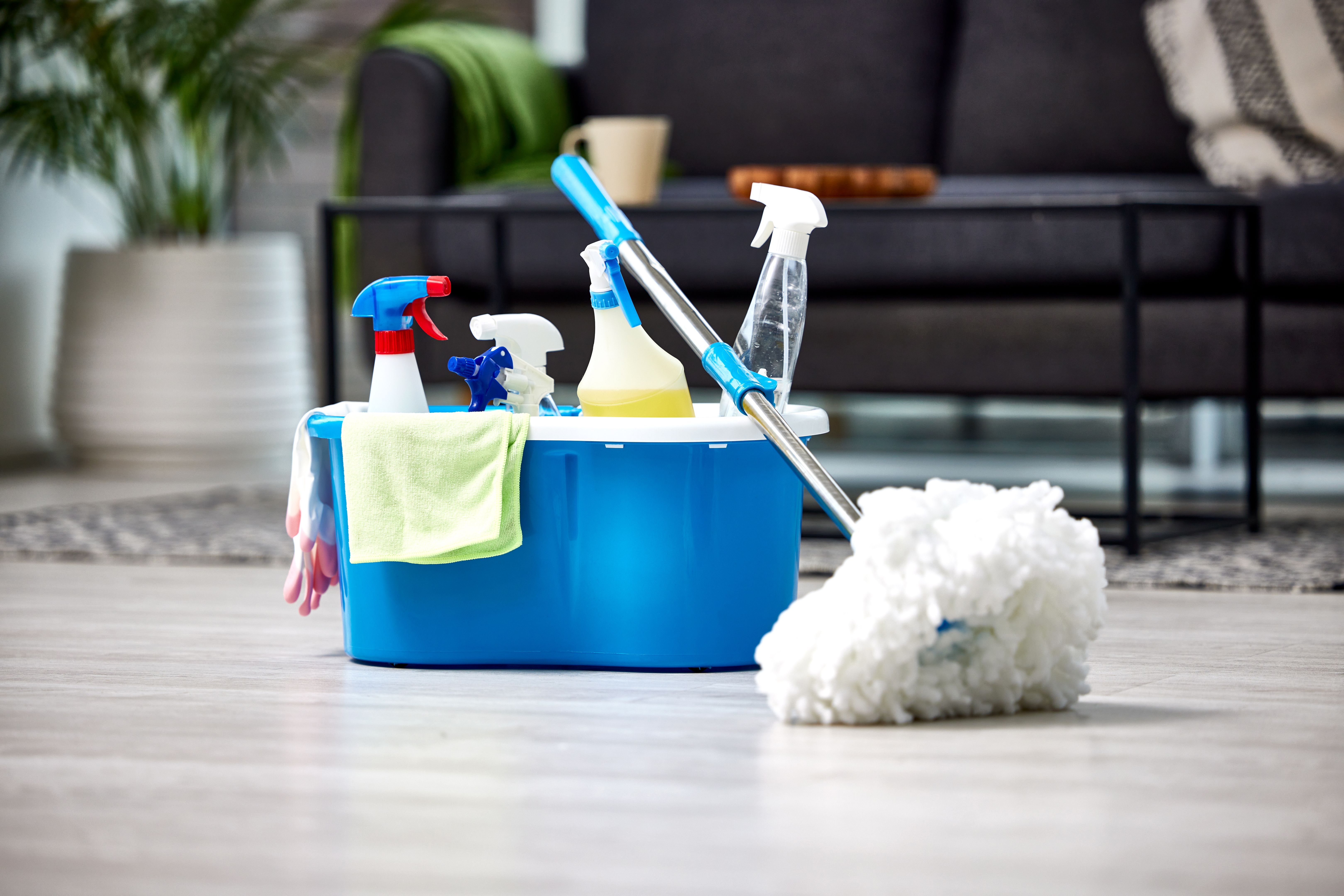 floor cleaning products