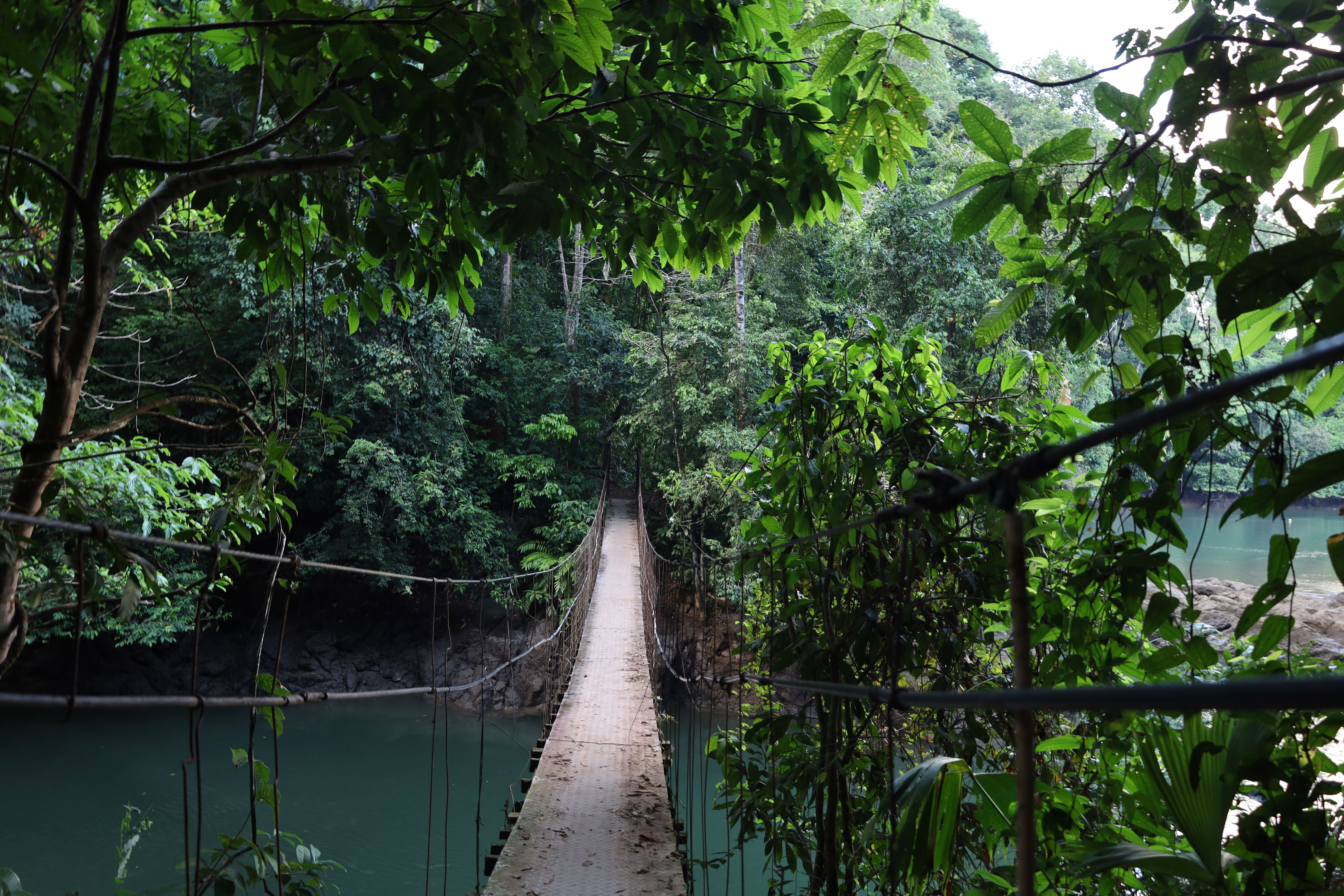 corcovado national park