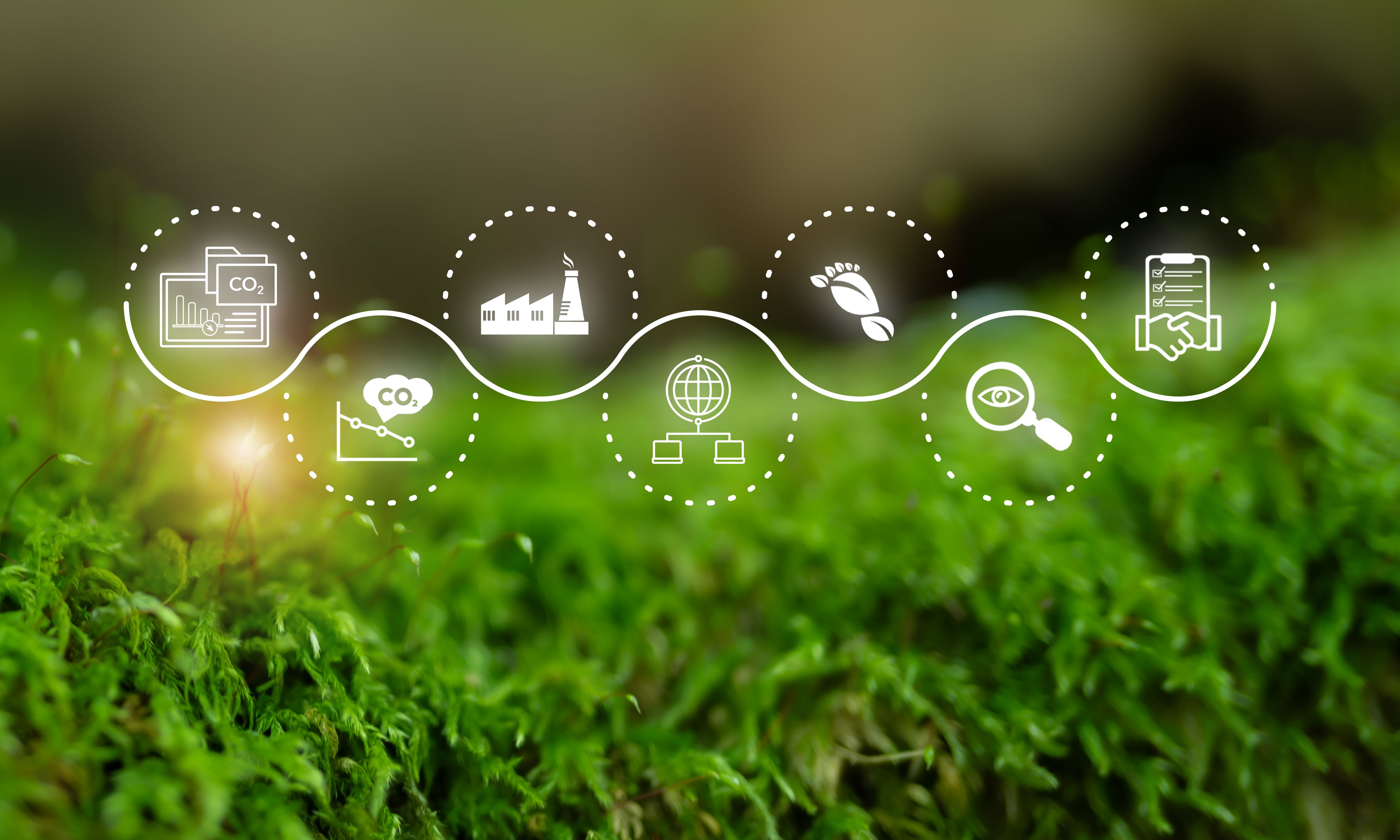 sustainability audit