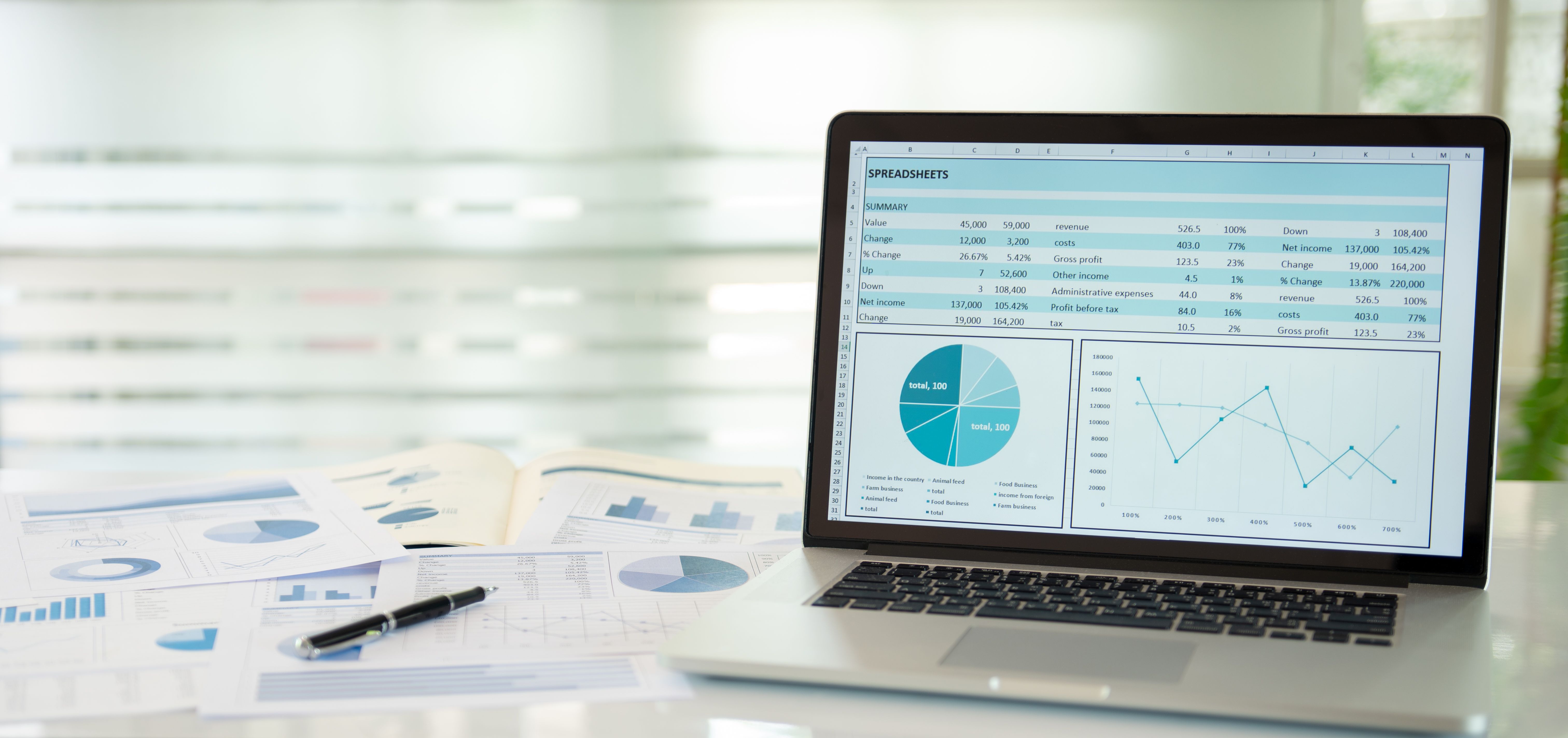 financial report
