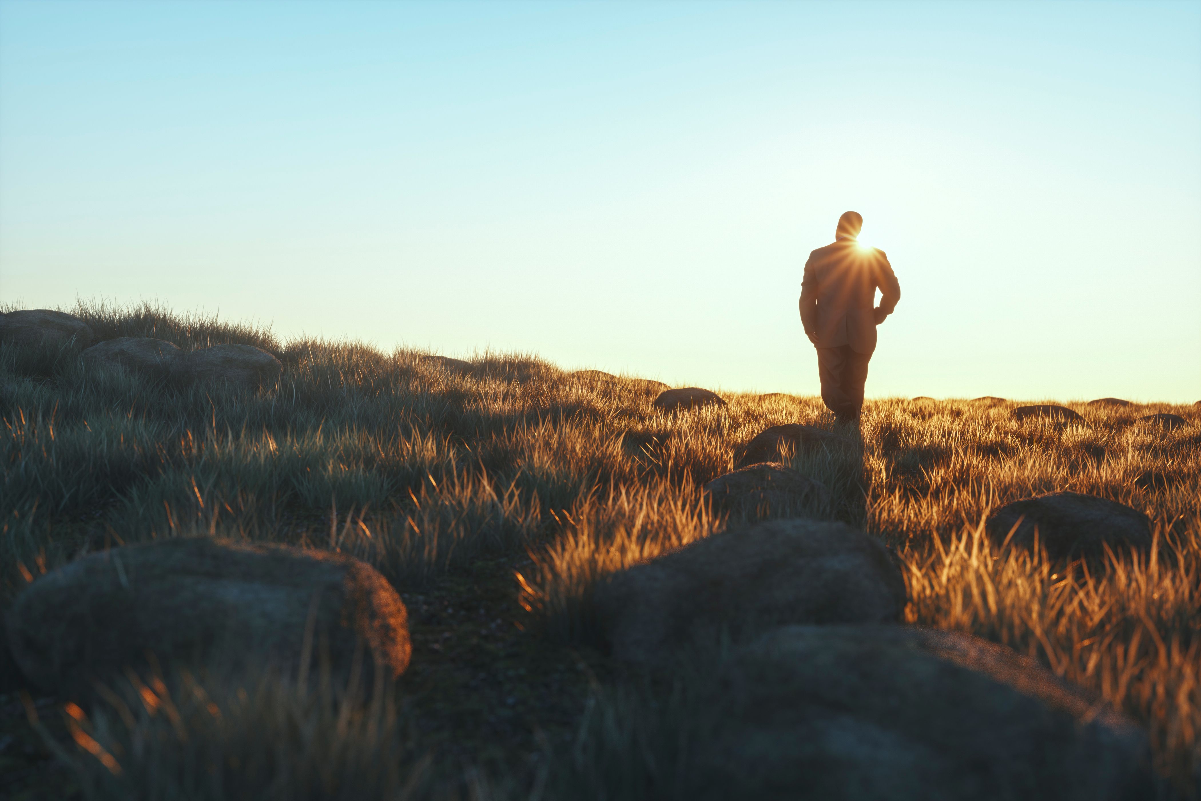 Senior businessman walking in the meadow at sunset