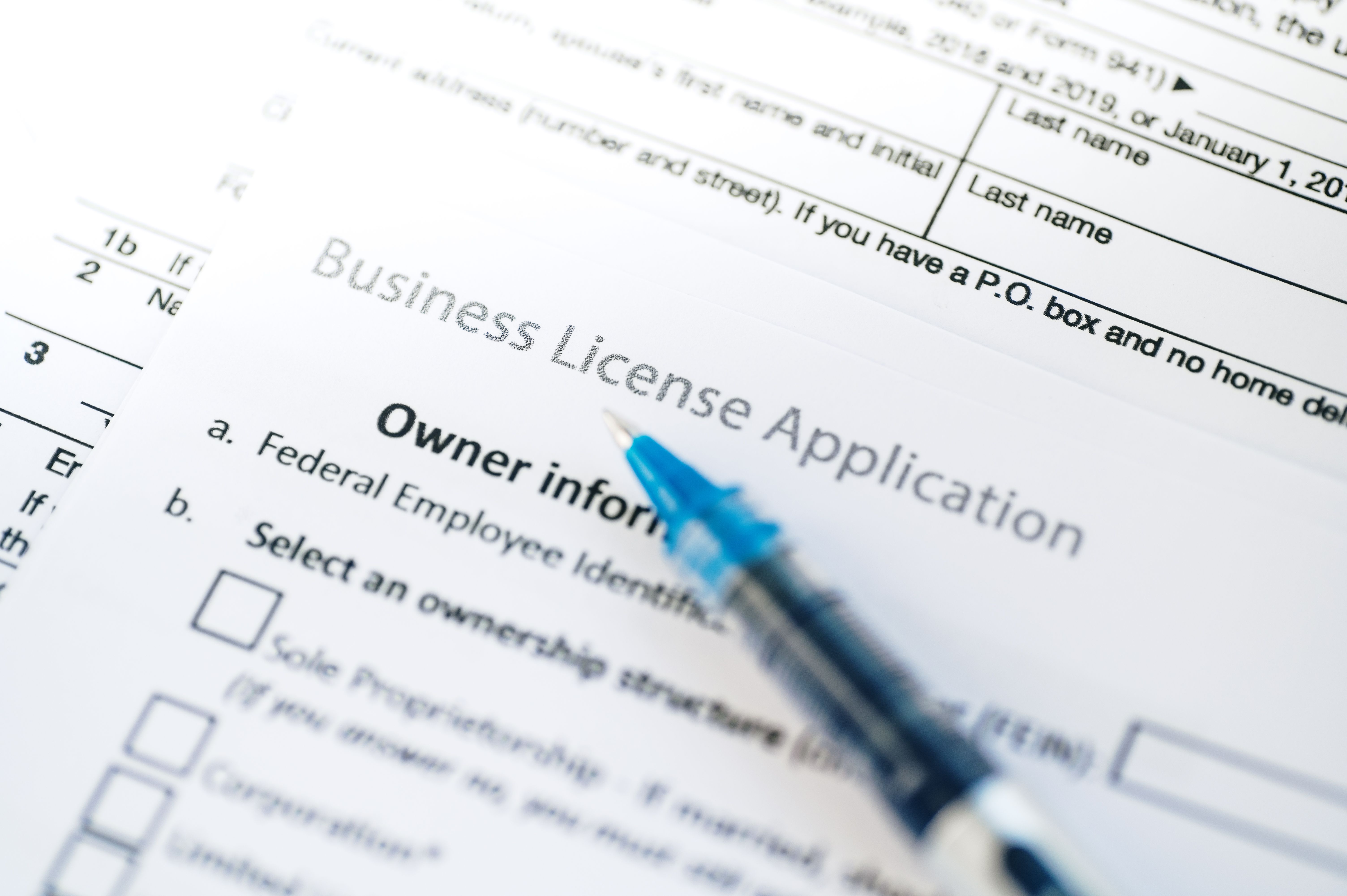business license application