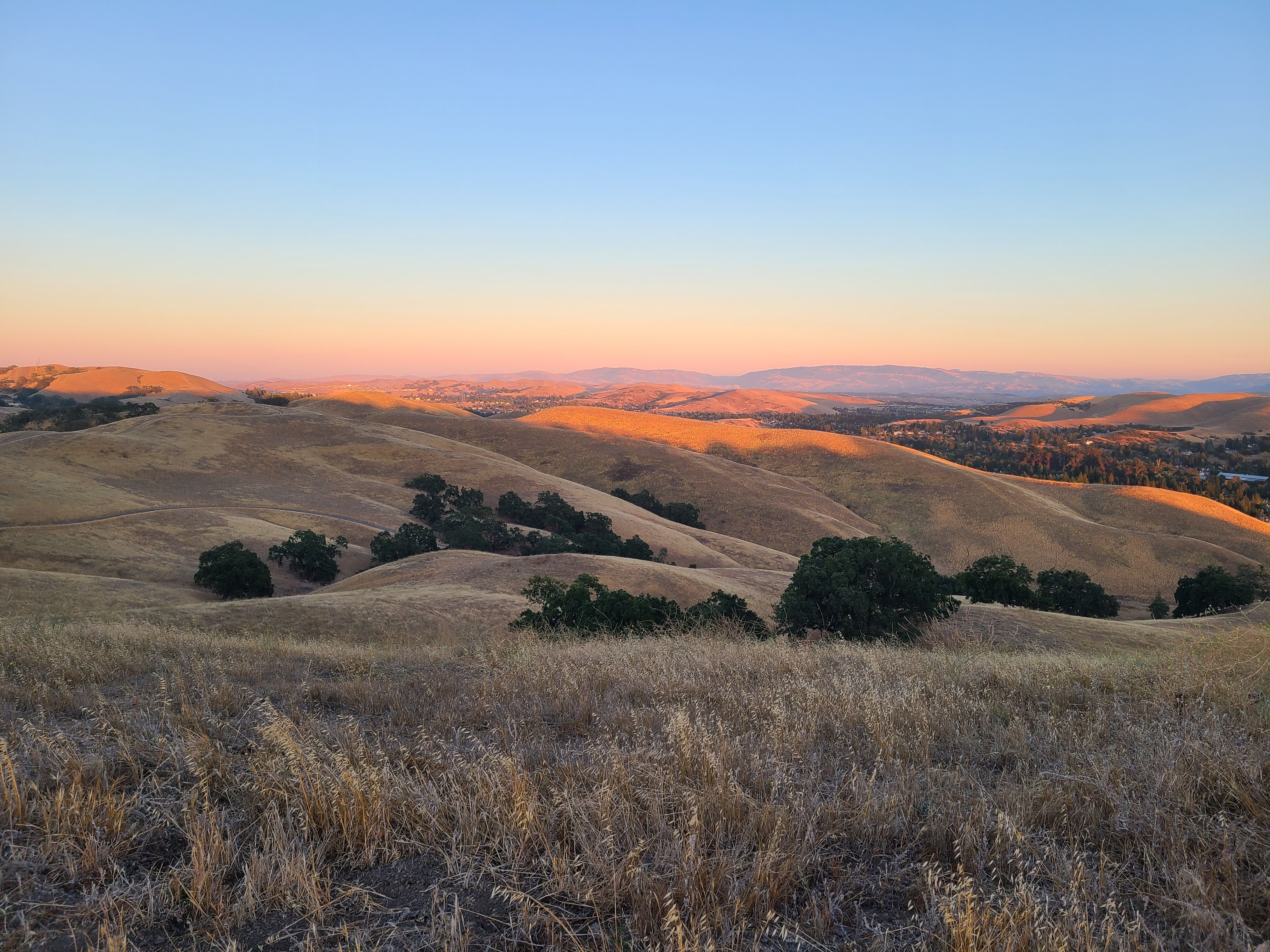 contra costa landscape