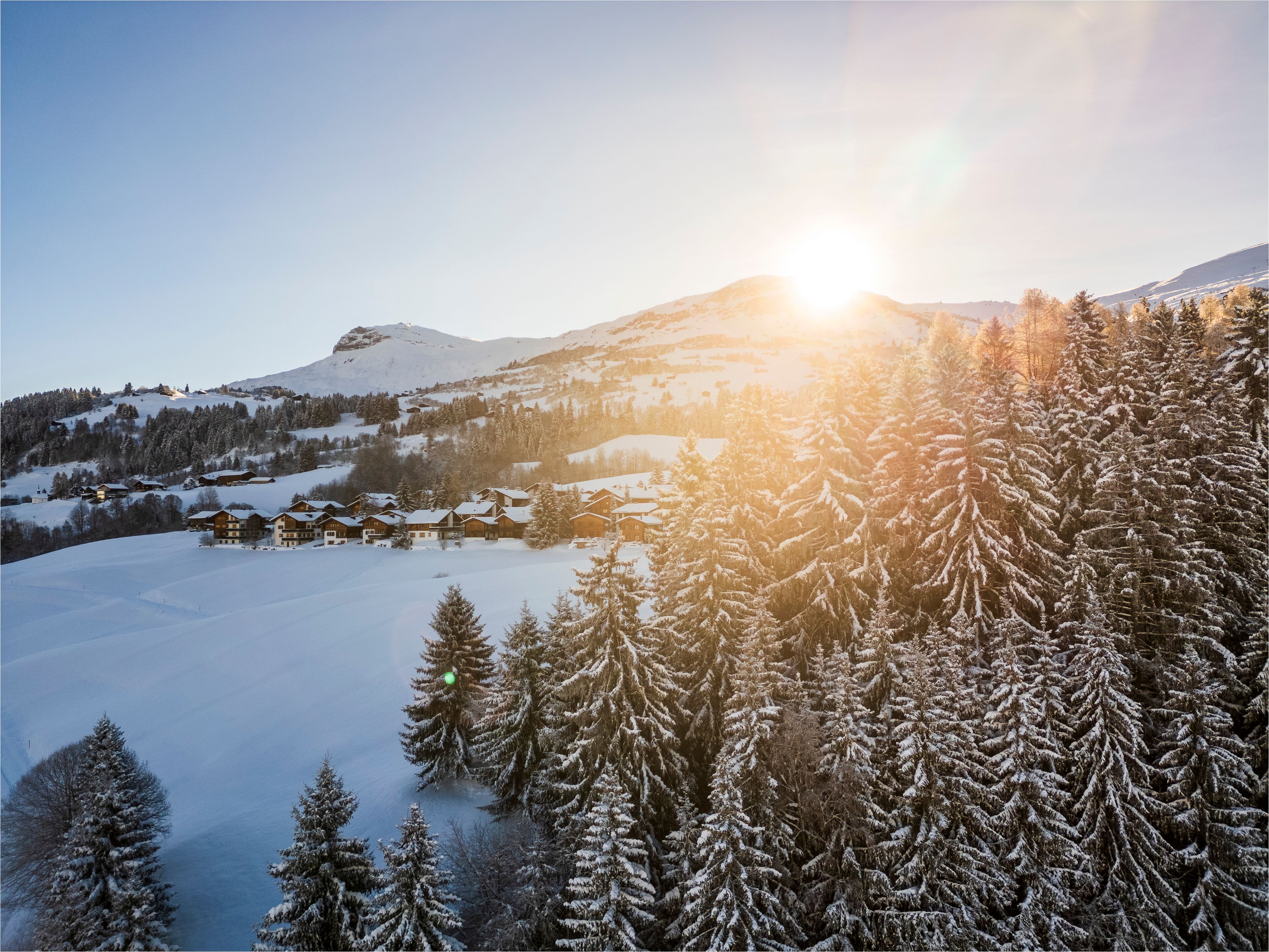 alps chalet