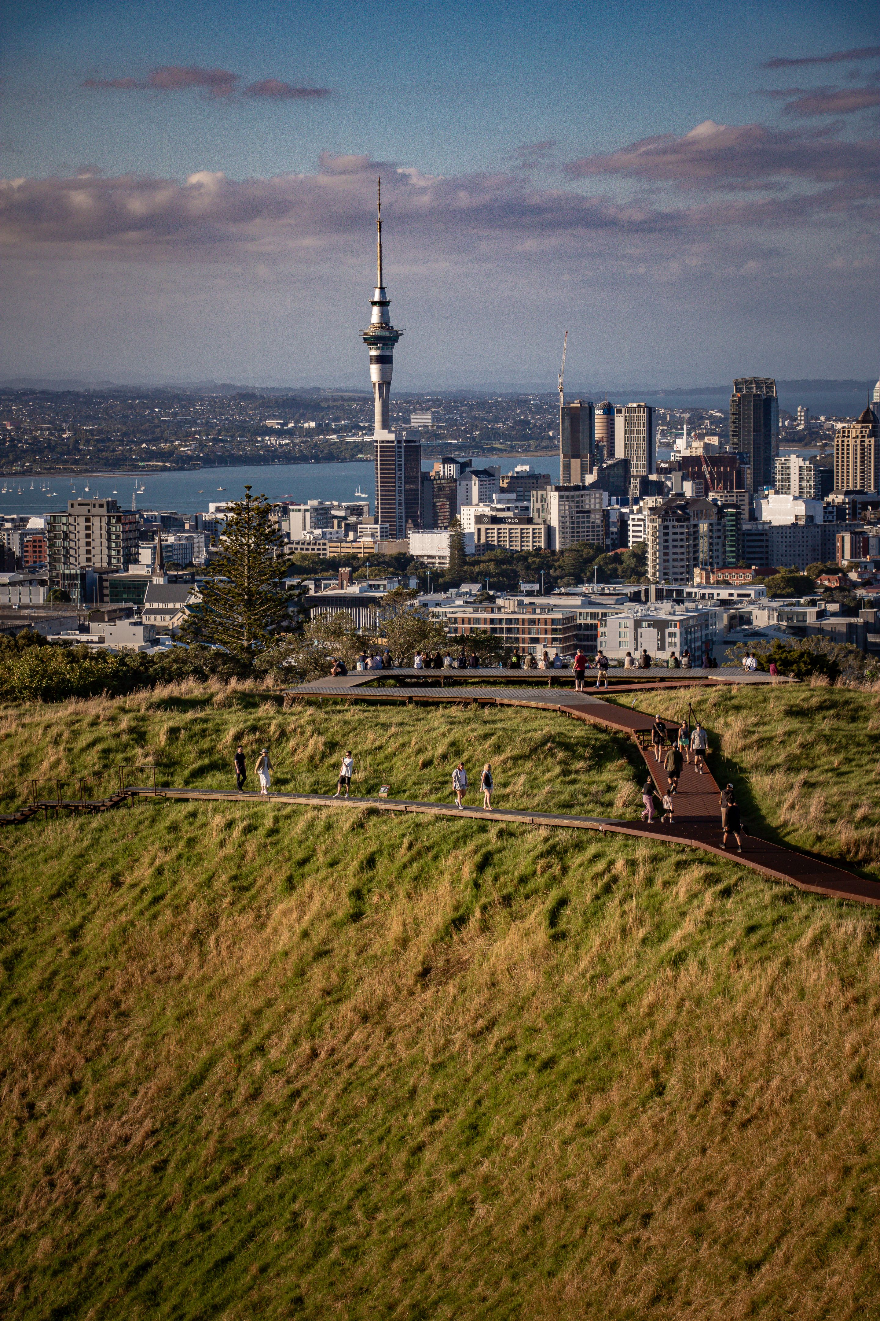 auckland skyline