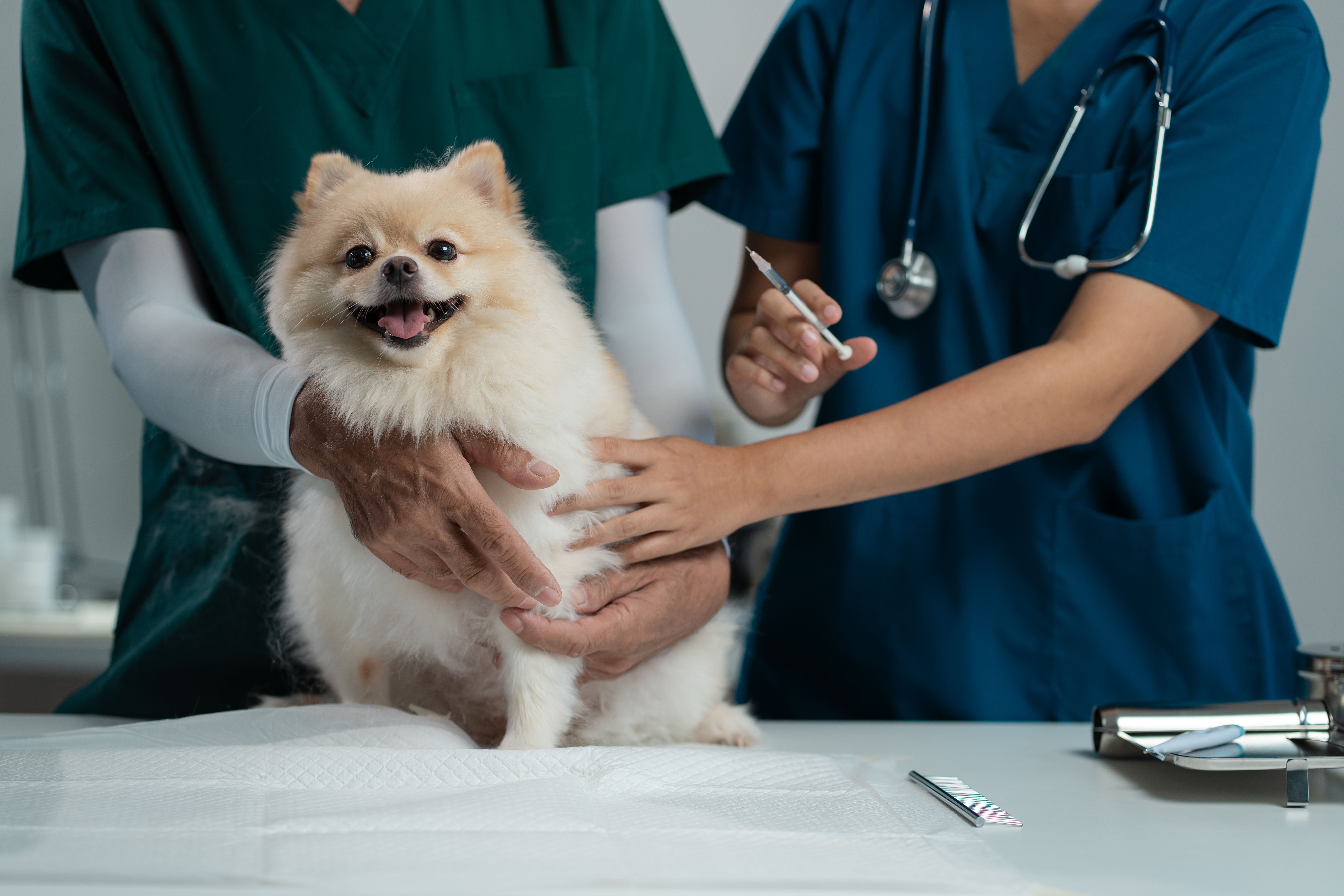 veterinary clinic