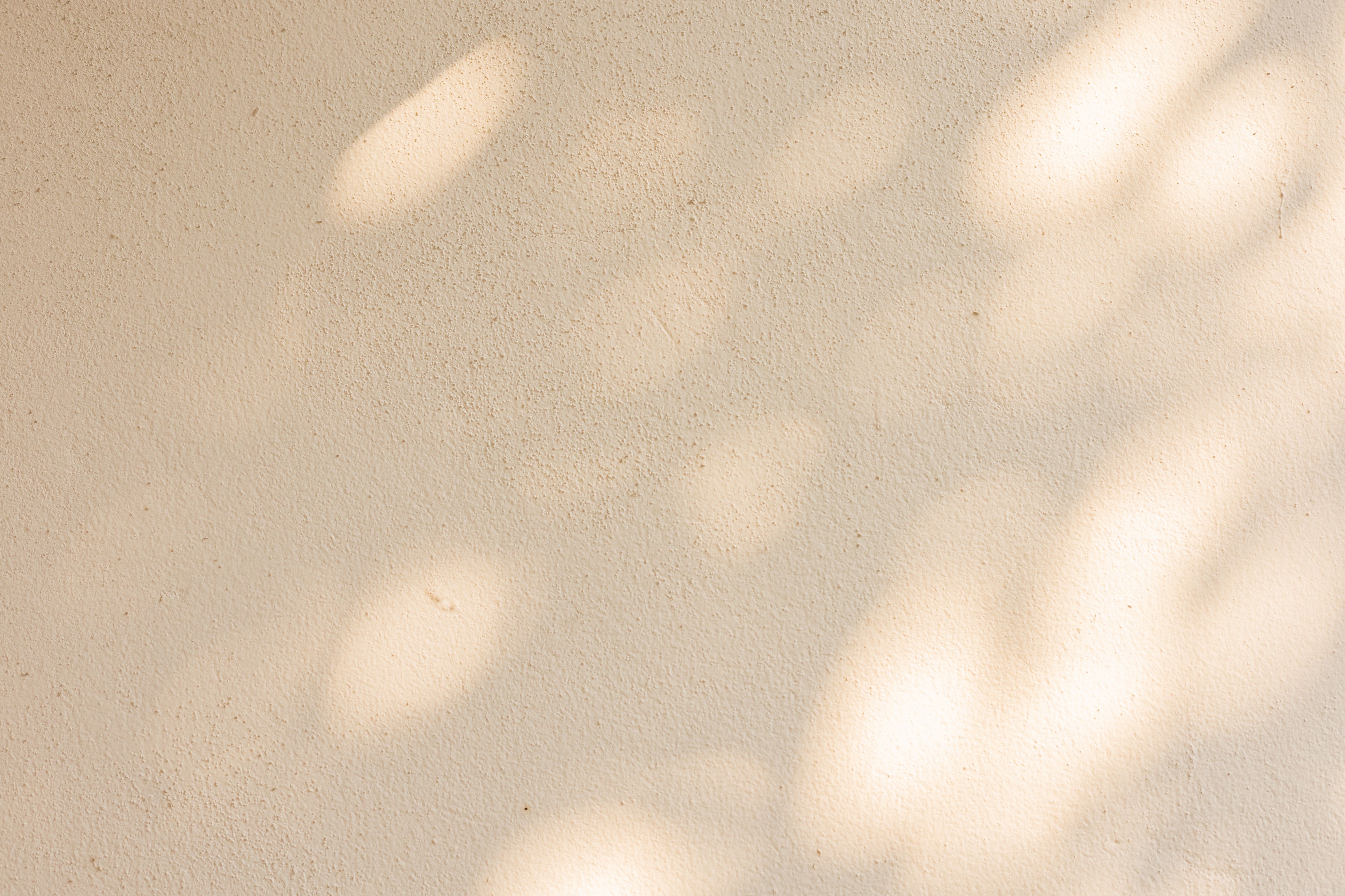 bedroom with sunlight