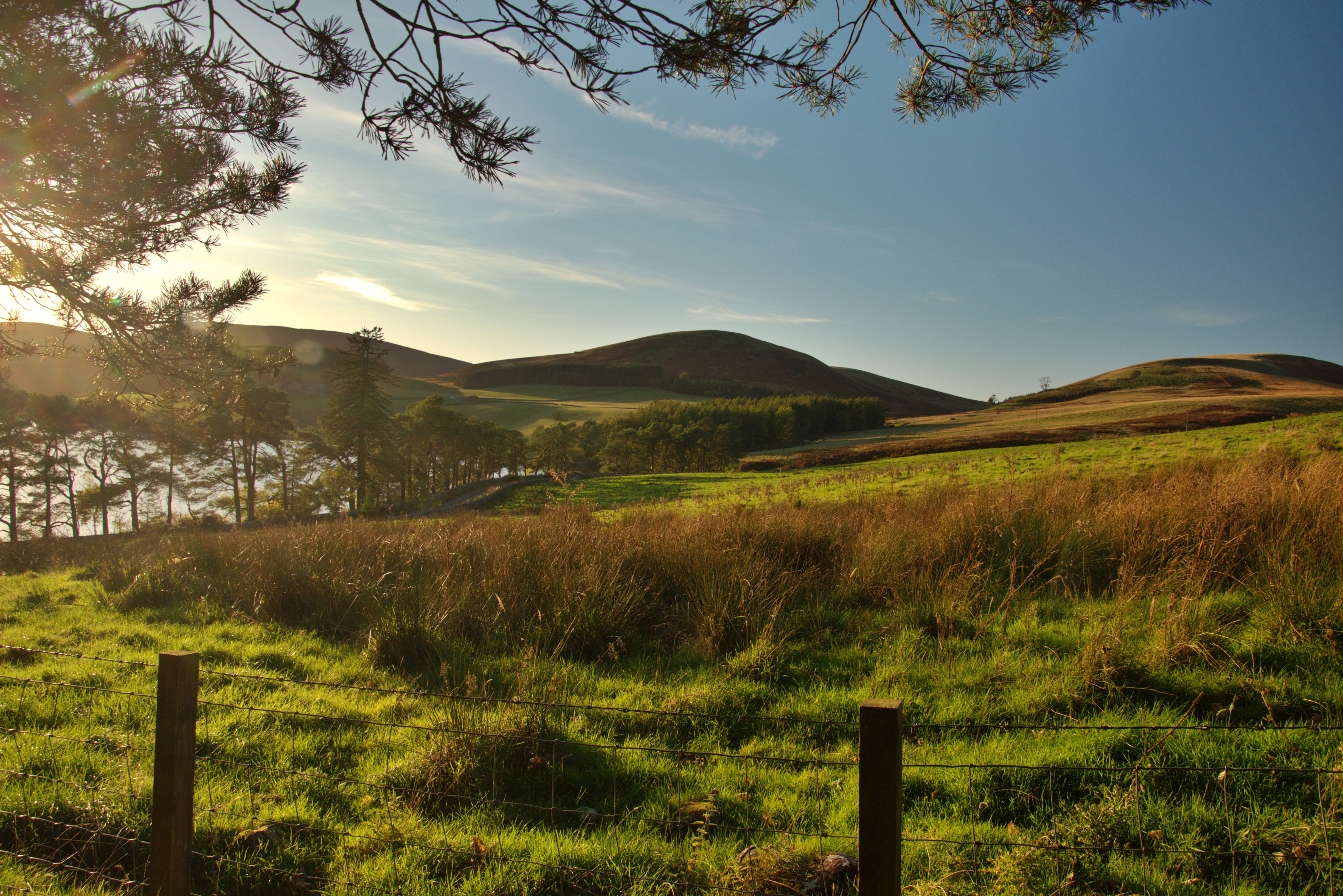 the meadows edinburgh