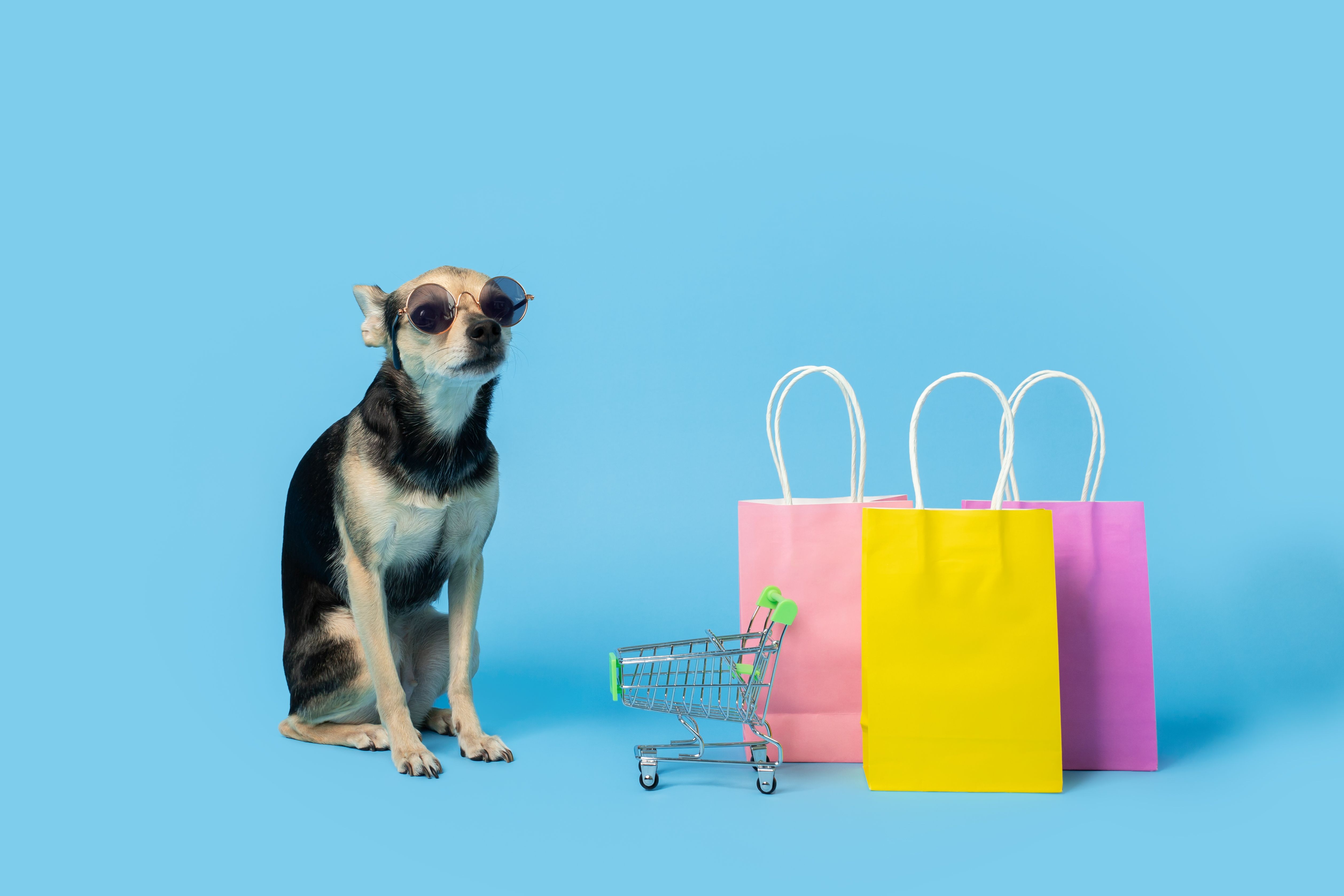 pet market