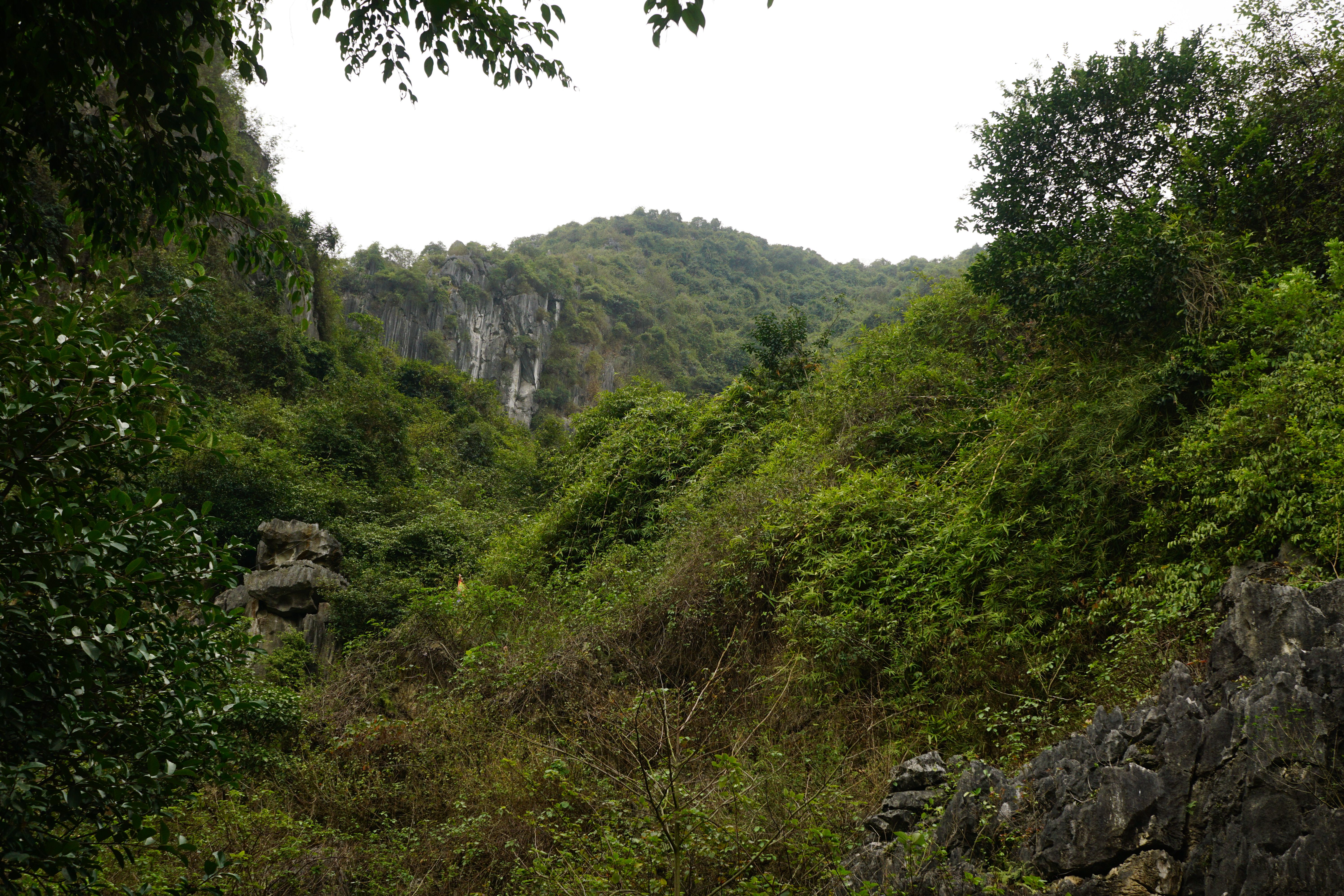 Tropical mountain landscape Tropical mountain landscape