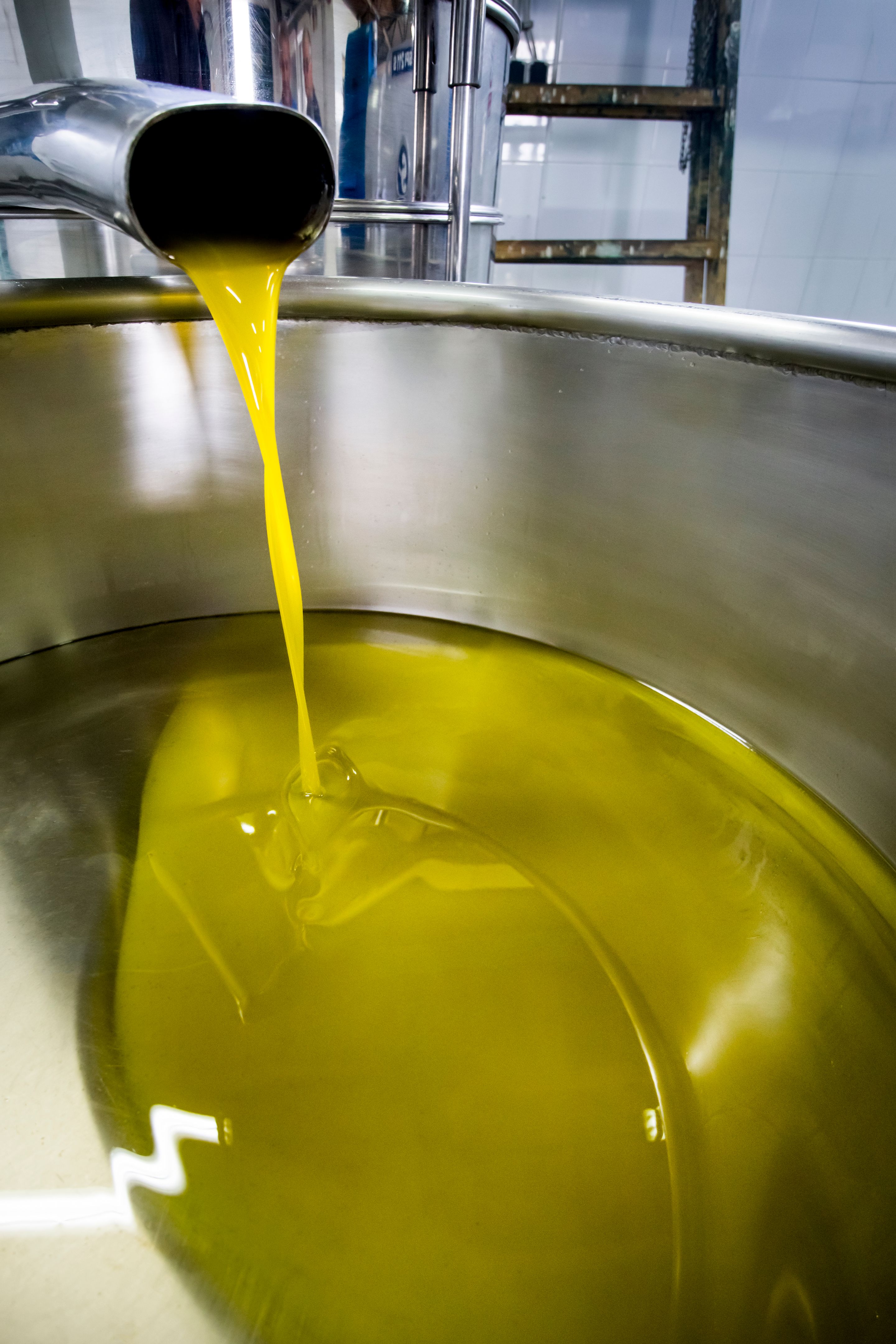 traditional olive oil production