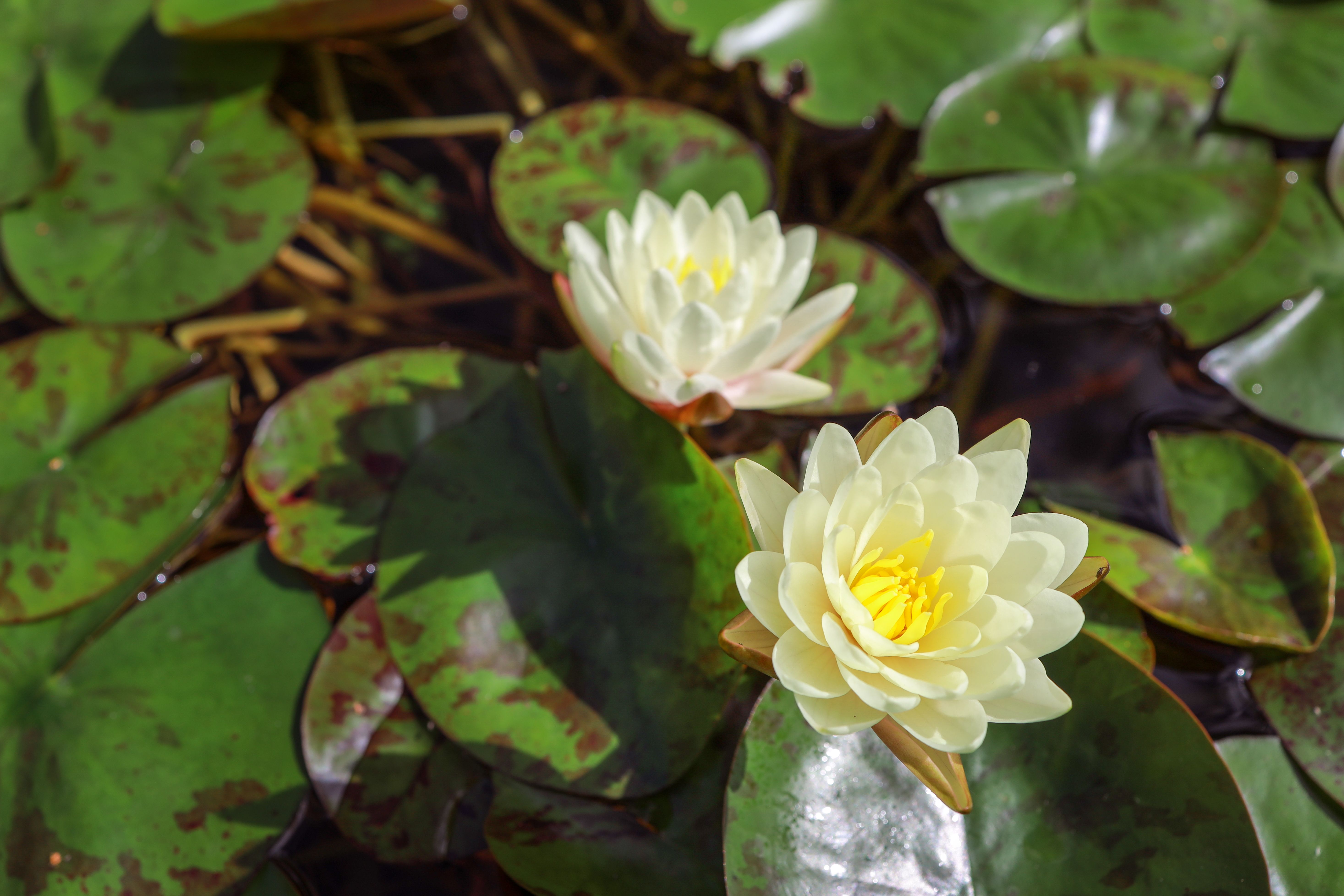 eco-friendly painting