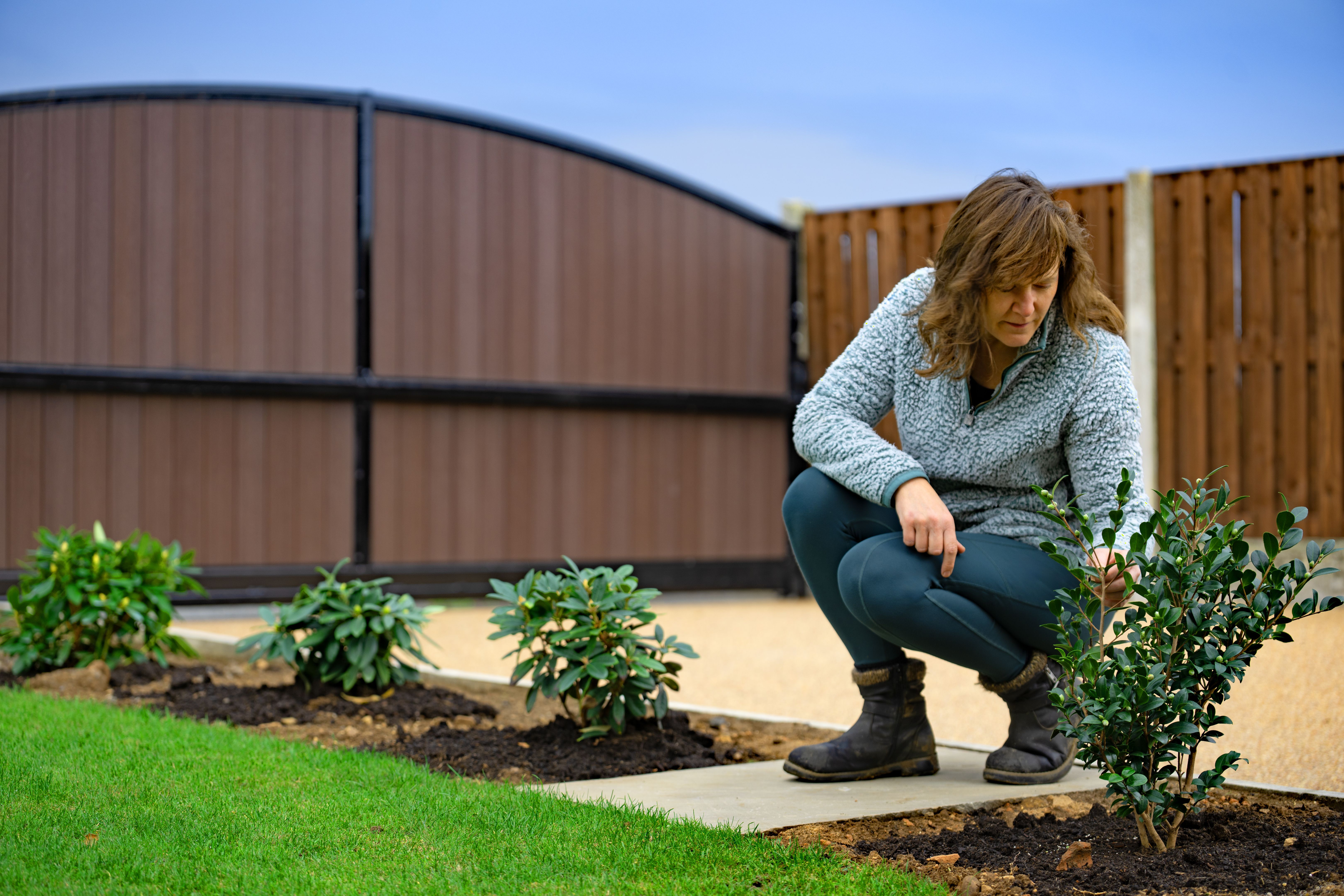 low maintenance garden