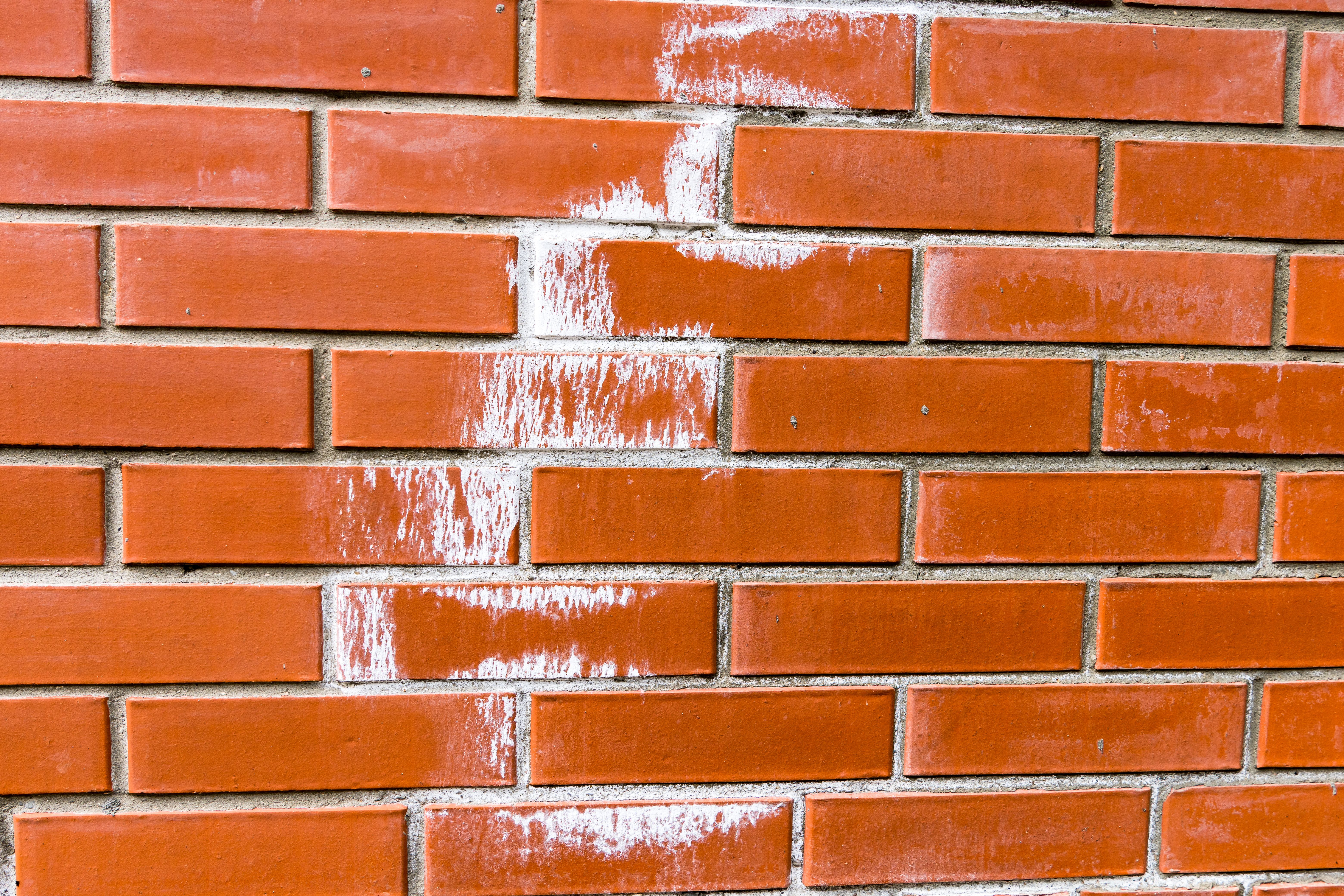 efflorescence bricks