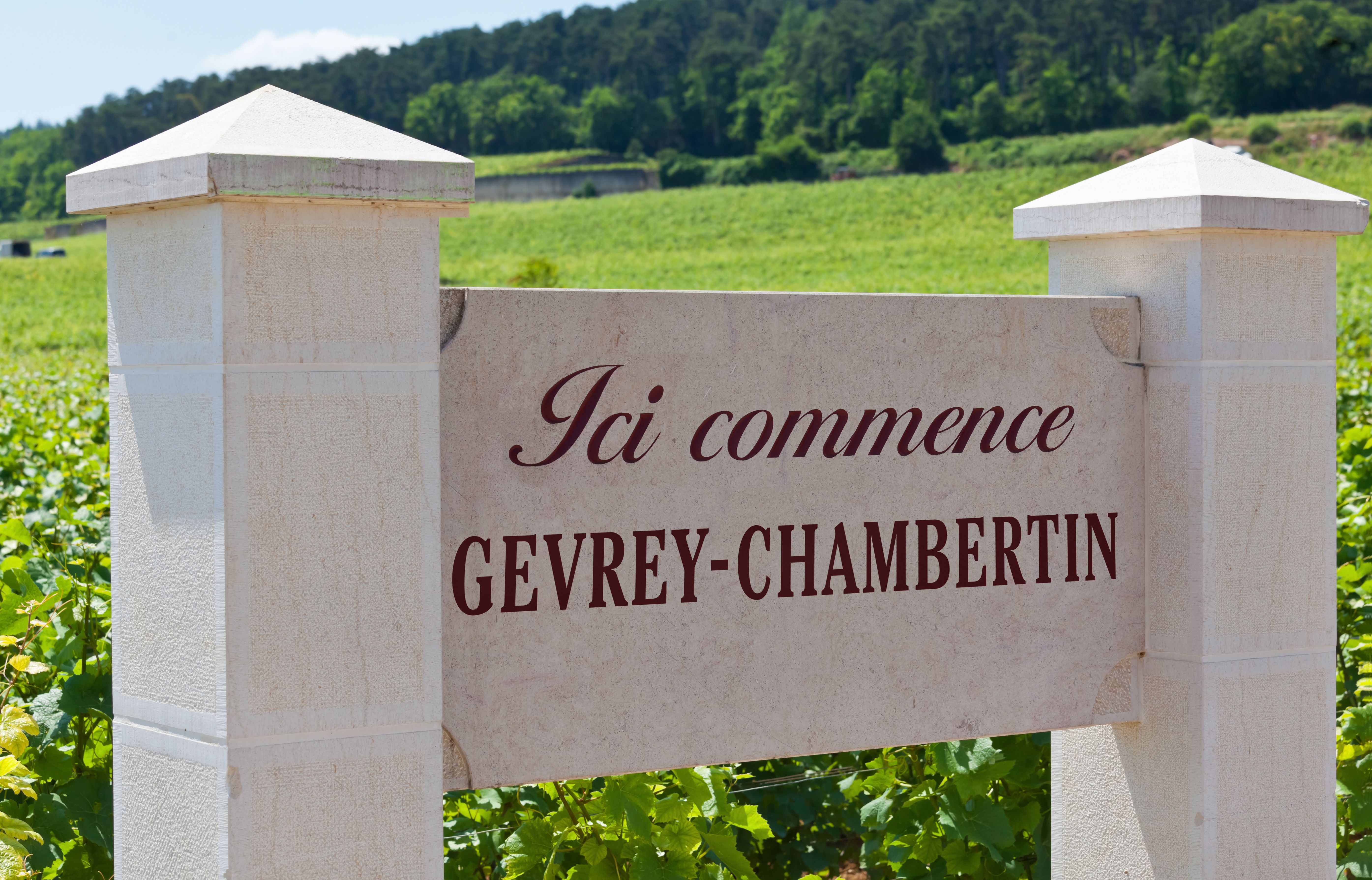 Vineyard on the Route des Grands Crus at the Burgundy Wine Village and Commune of Gevrey-Chambertin in the Cote de Nuits