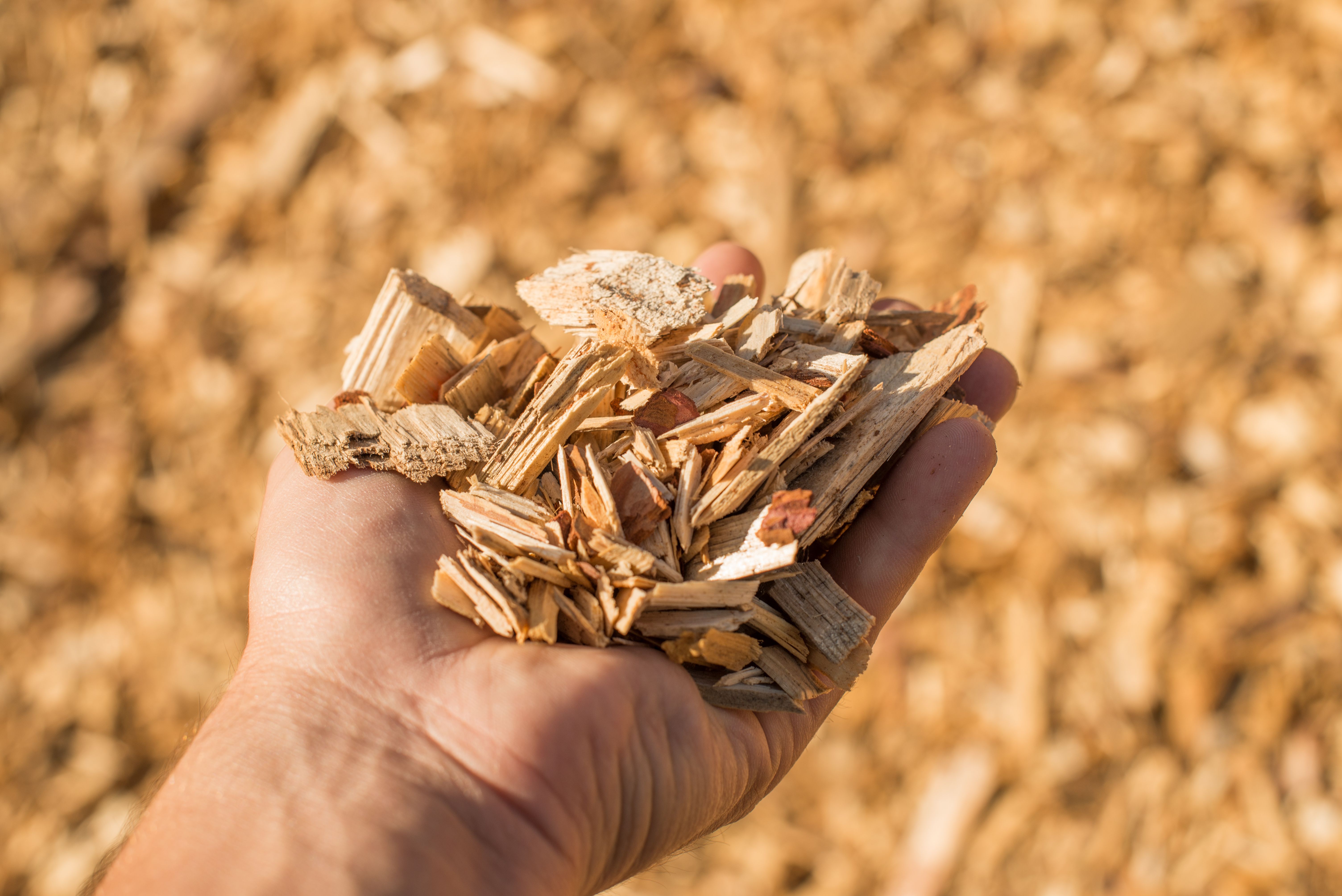 wood chips