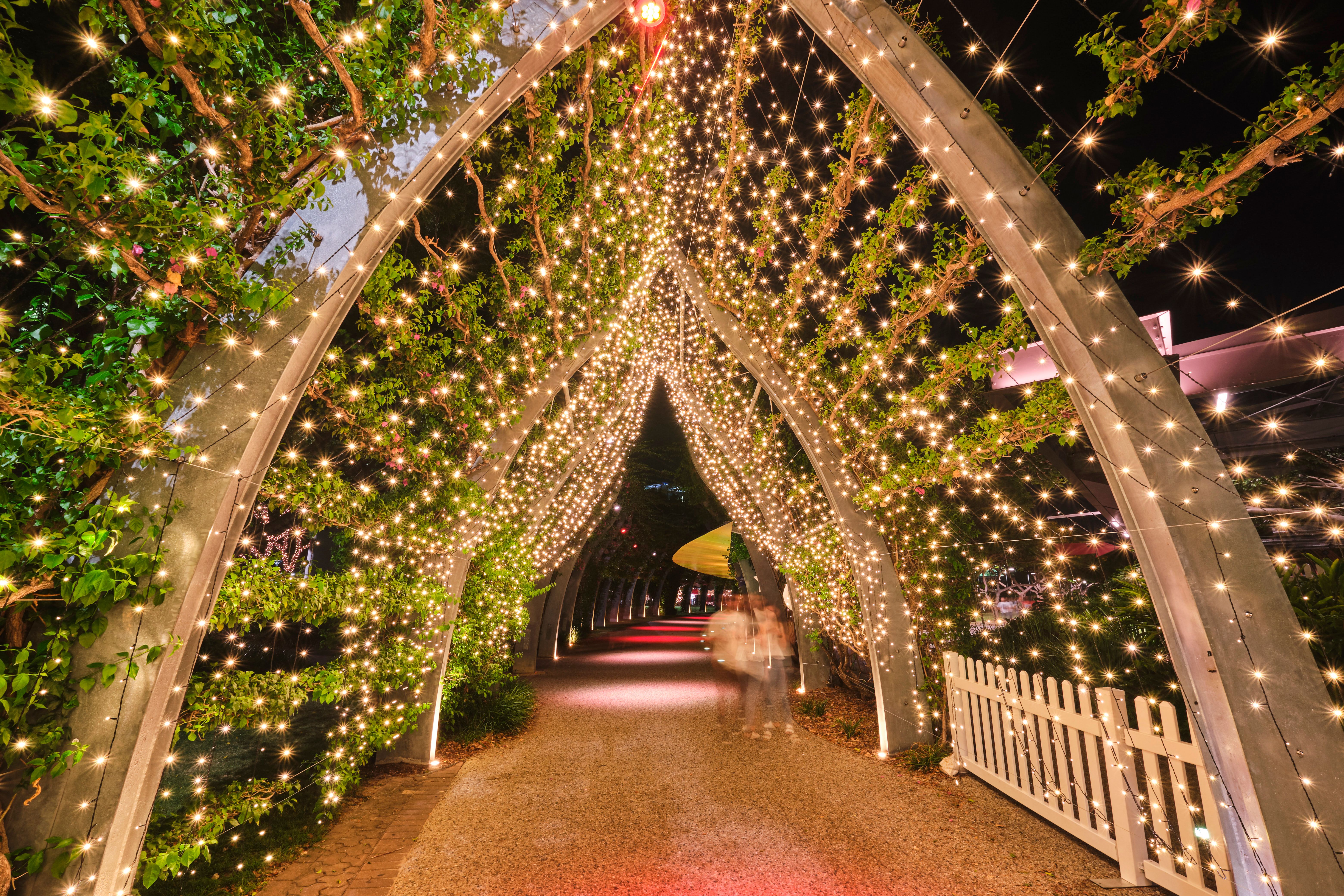 christmas light business