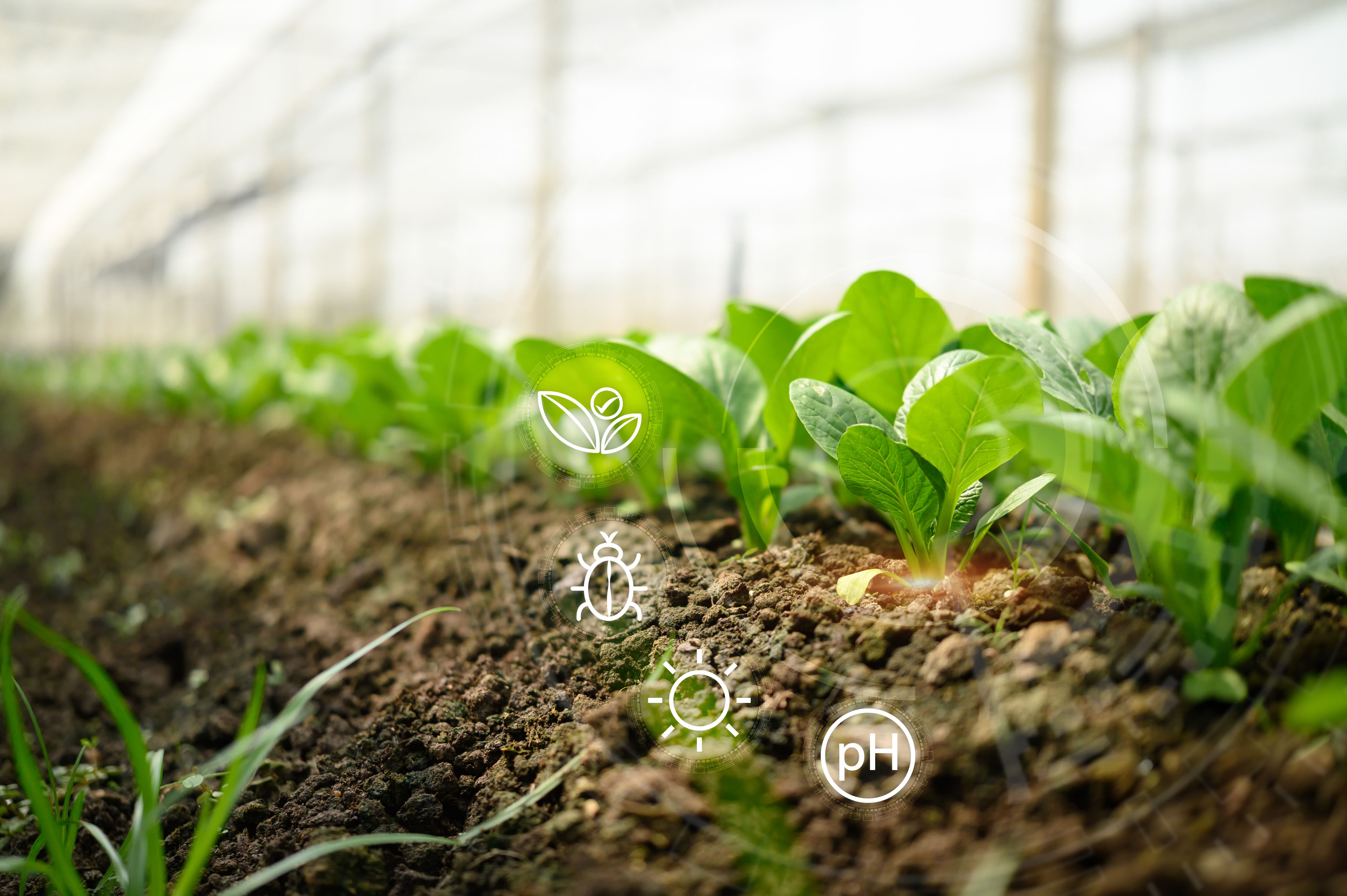agriculture technology