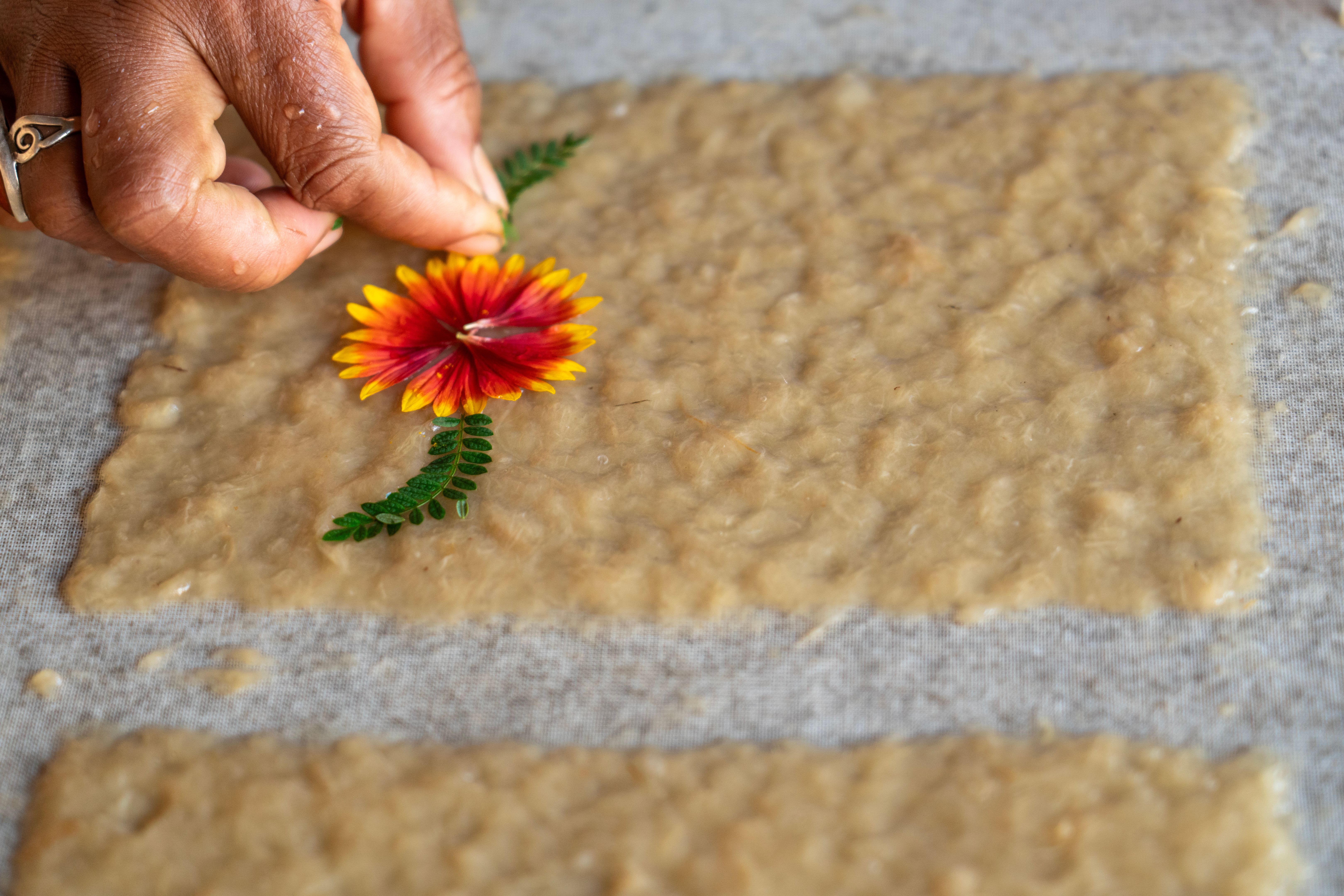 Handmade Antaimoro craft paper making, Madagascar