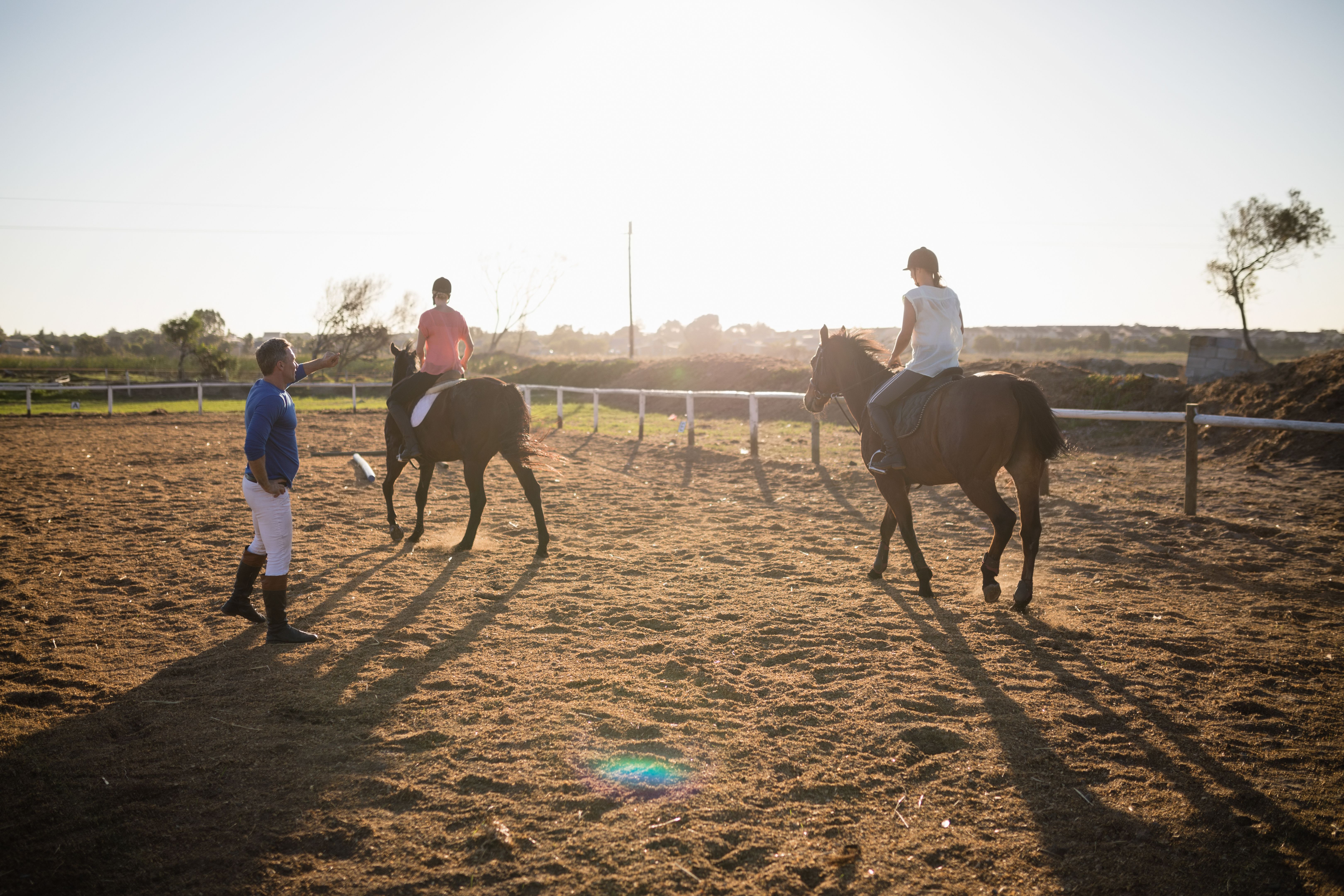 horseback riding lessons