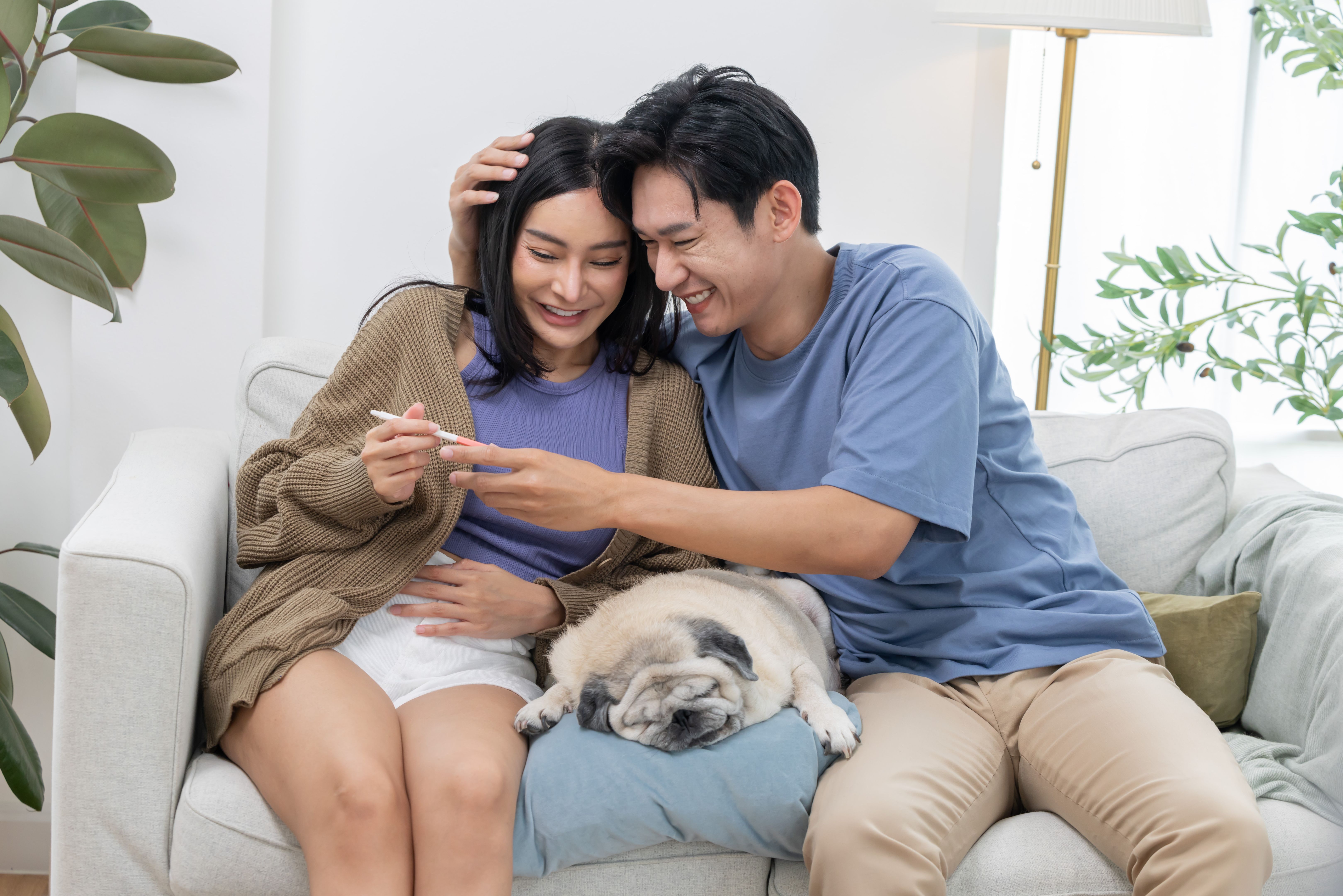 organizational journey