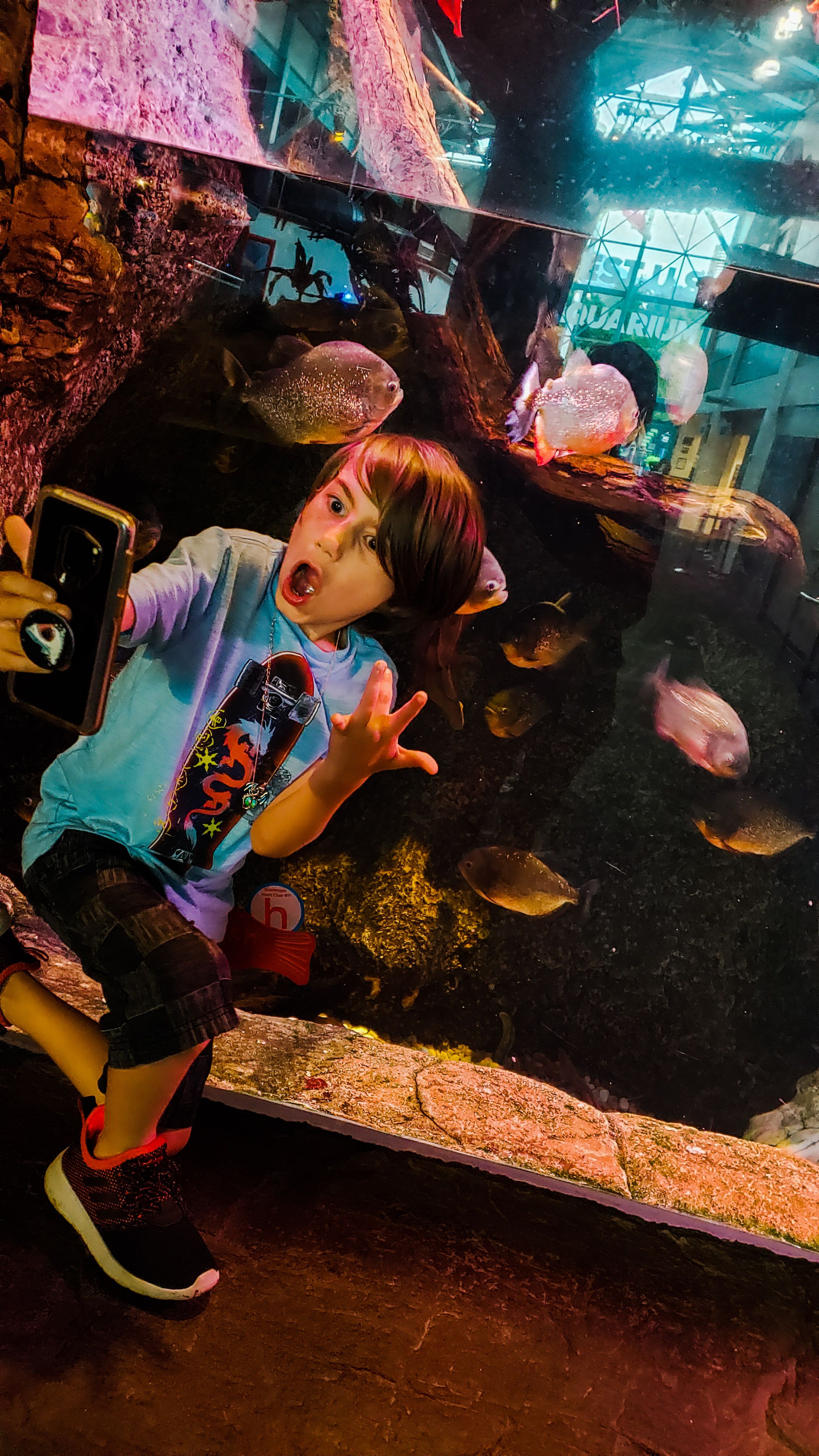 ripleys aquarium gatlinburg