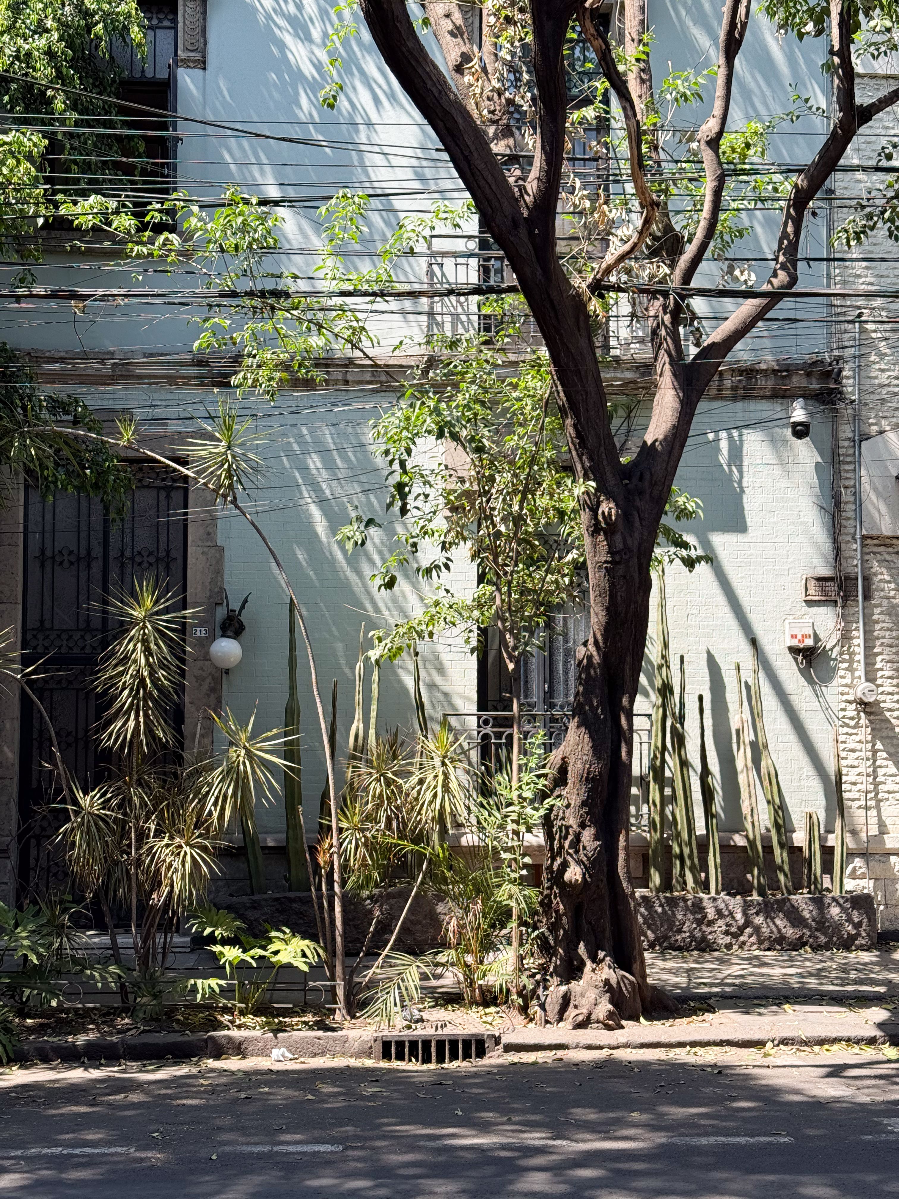 sustainable architecture Mexico City