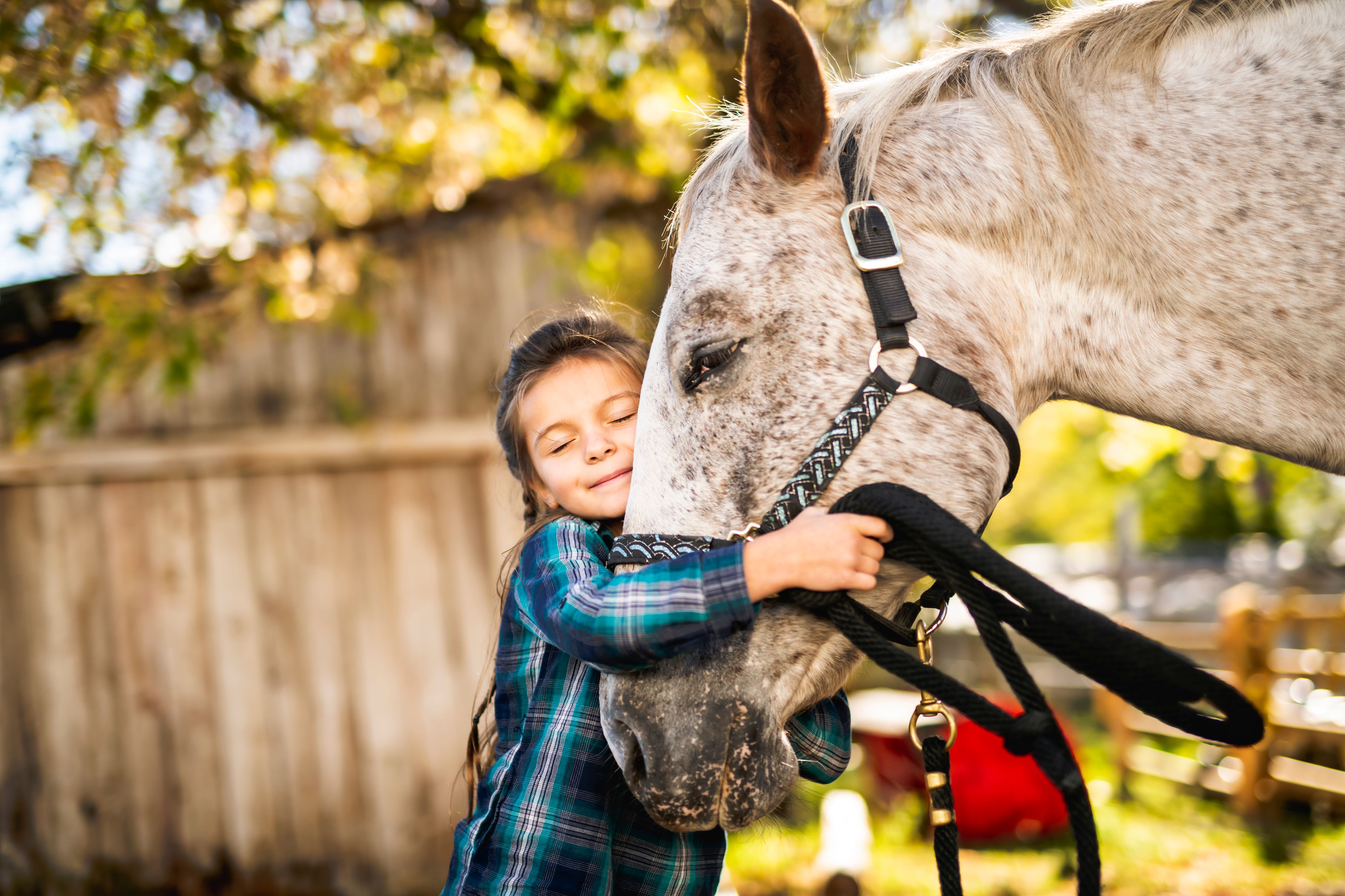 children with horses