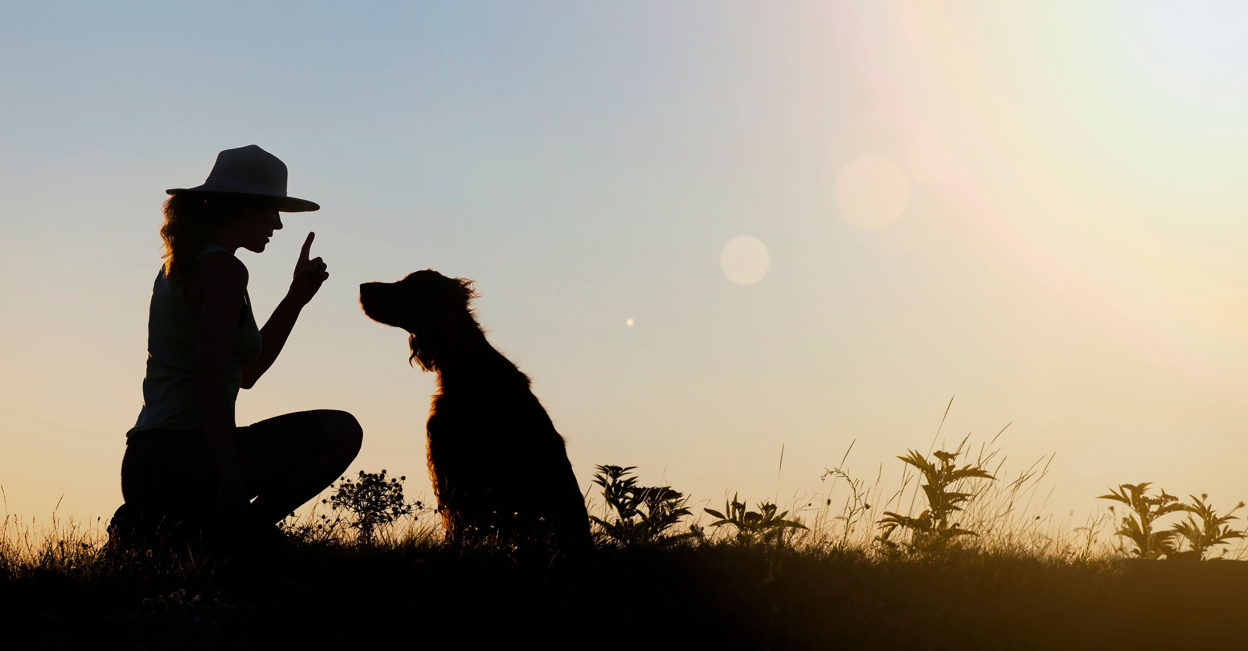 Dog training silhouette