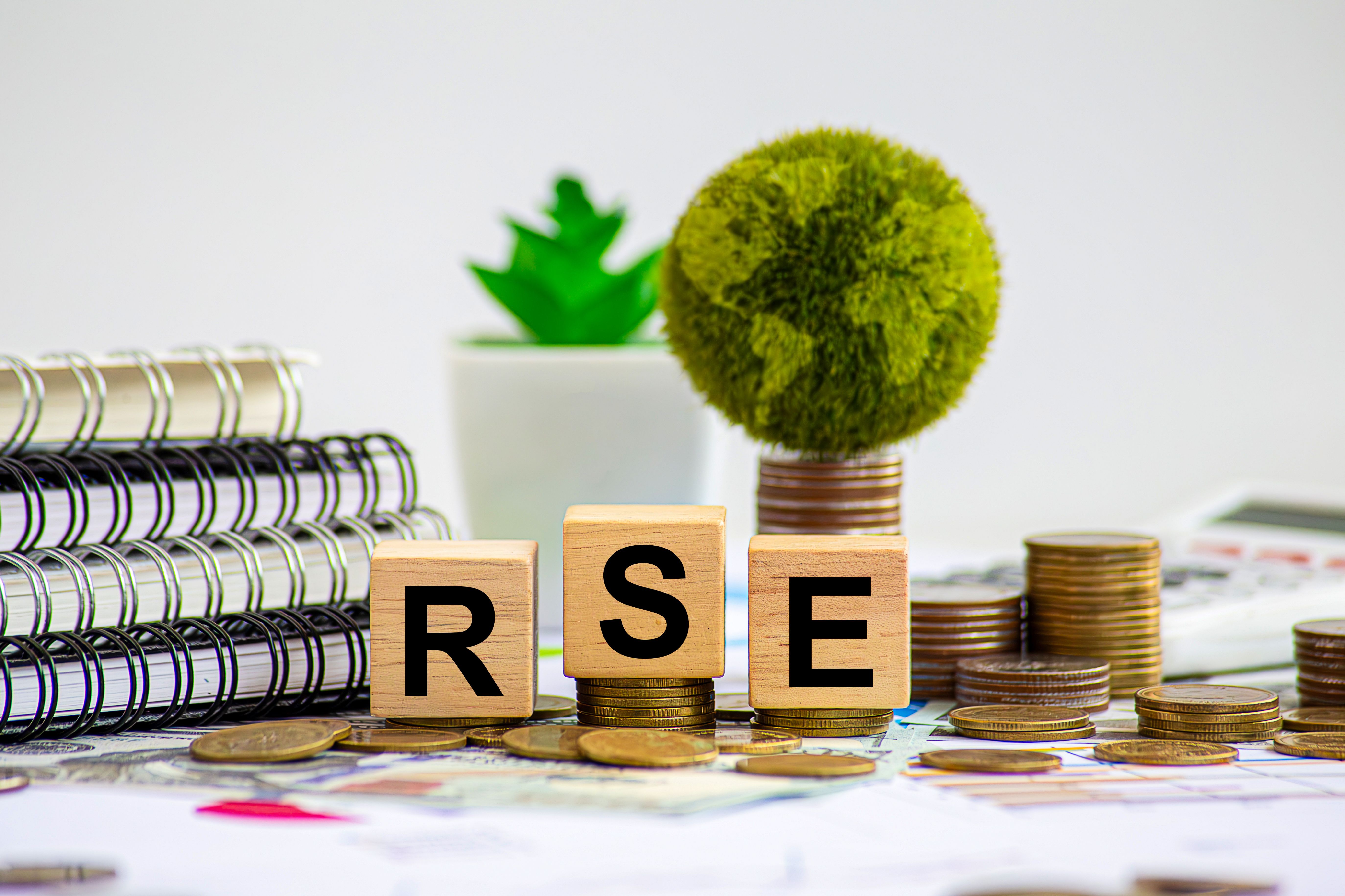 responsabilité sociétale