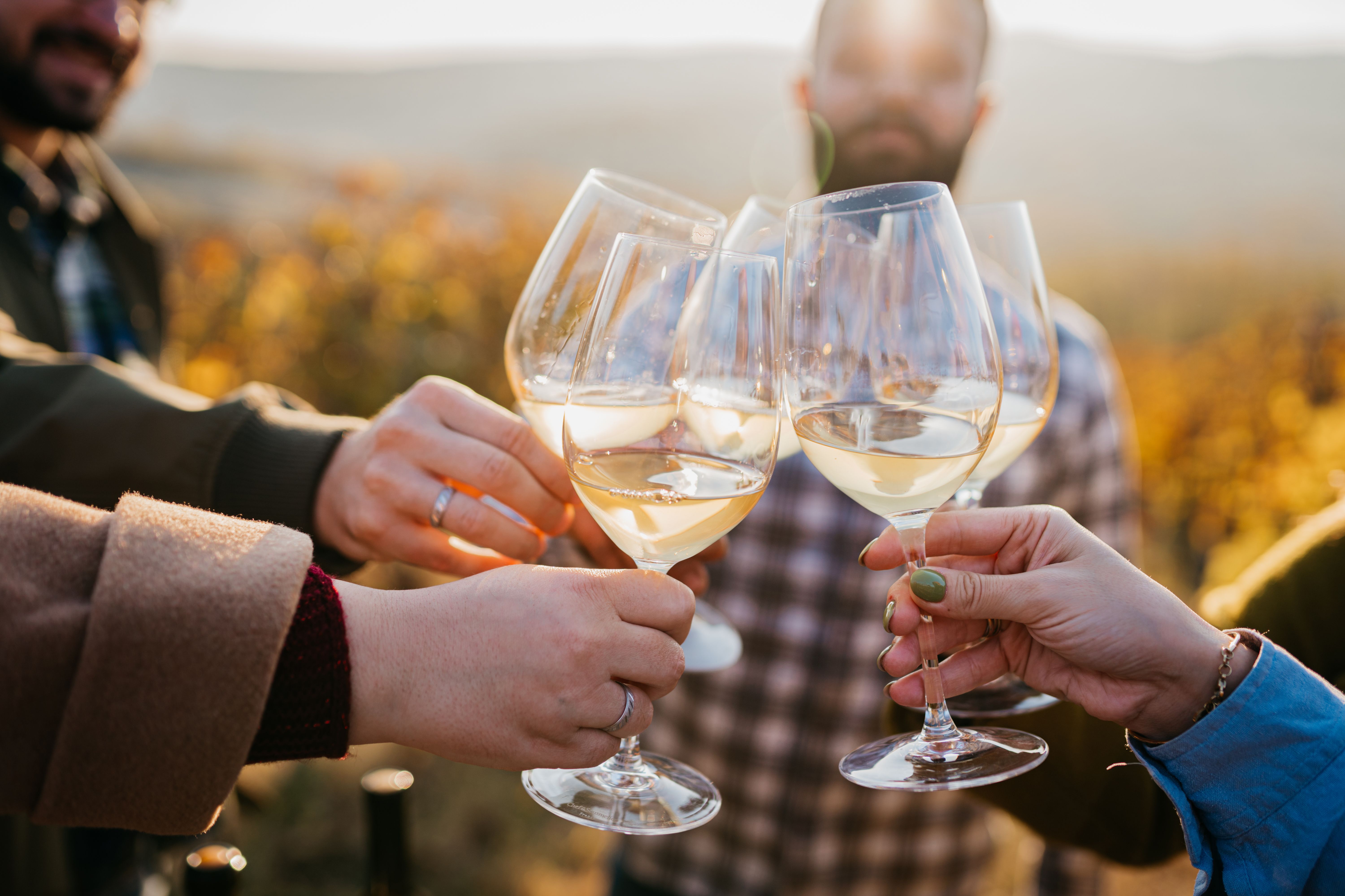 people enjoying wine