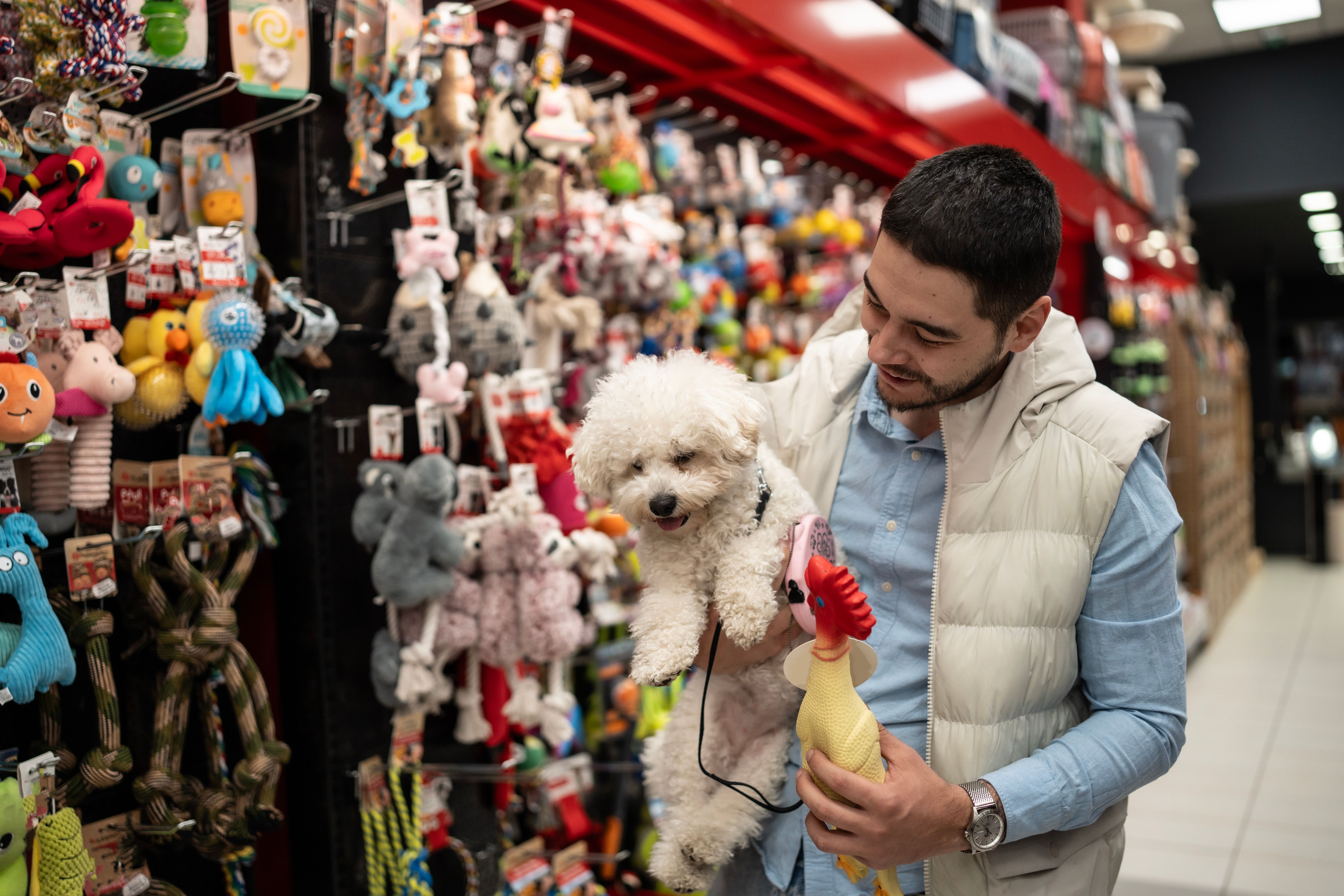 indoor pet toys