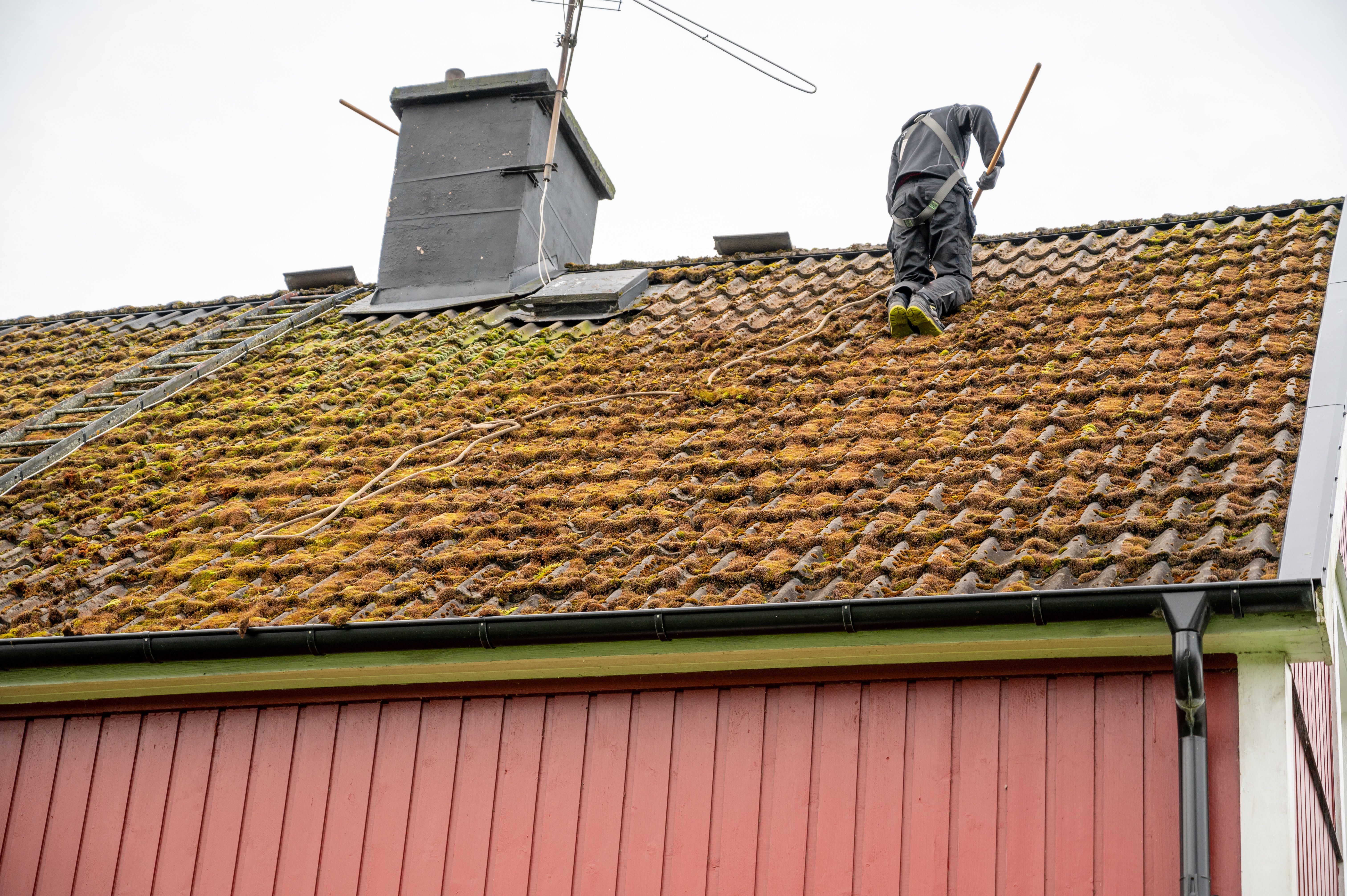 roof cleaning