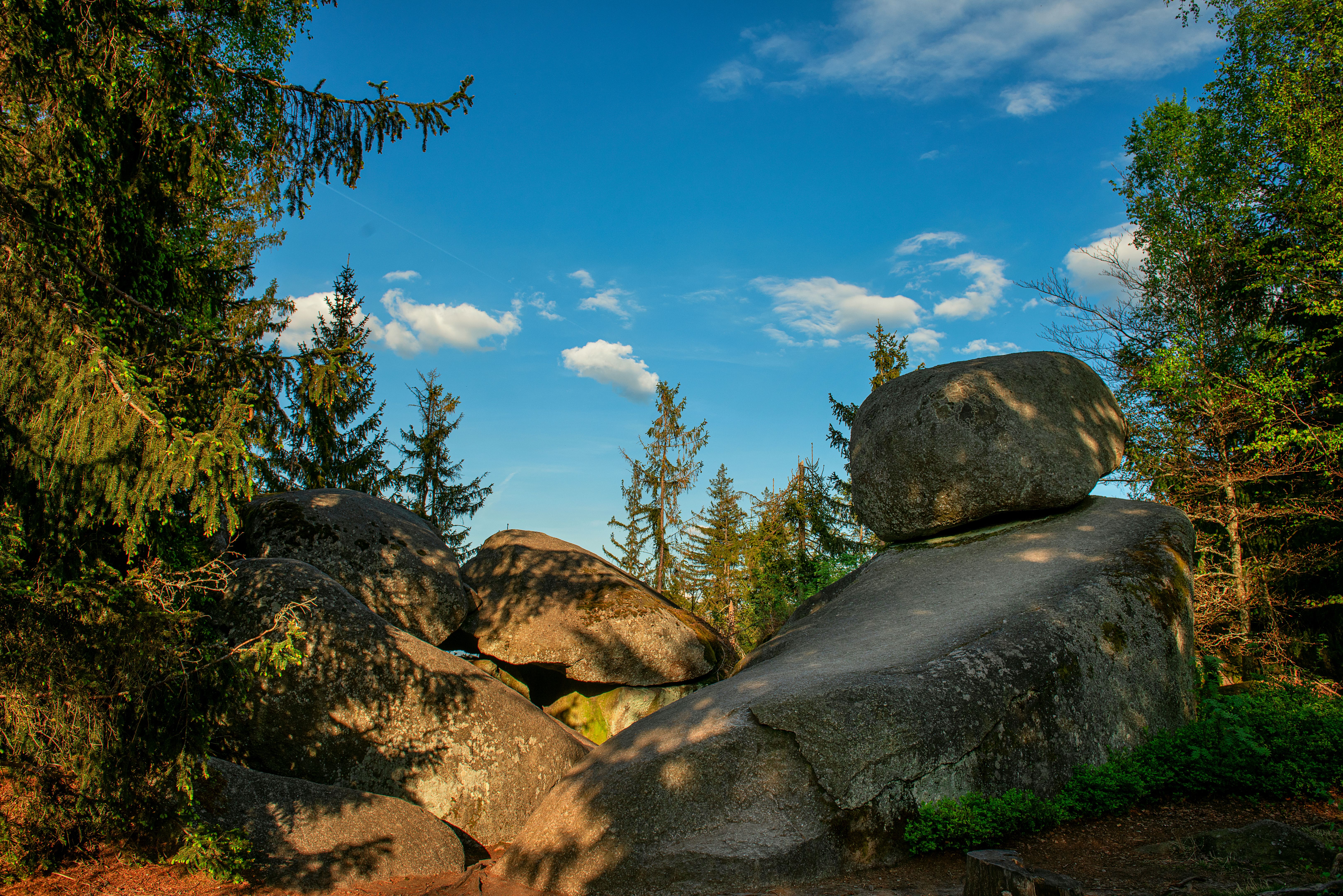 bayerischer wald retreat