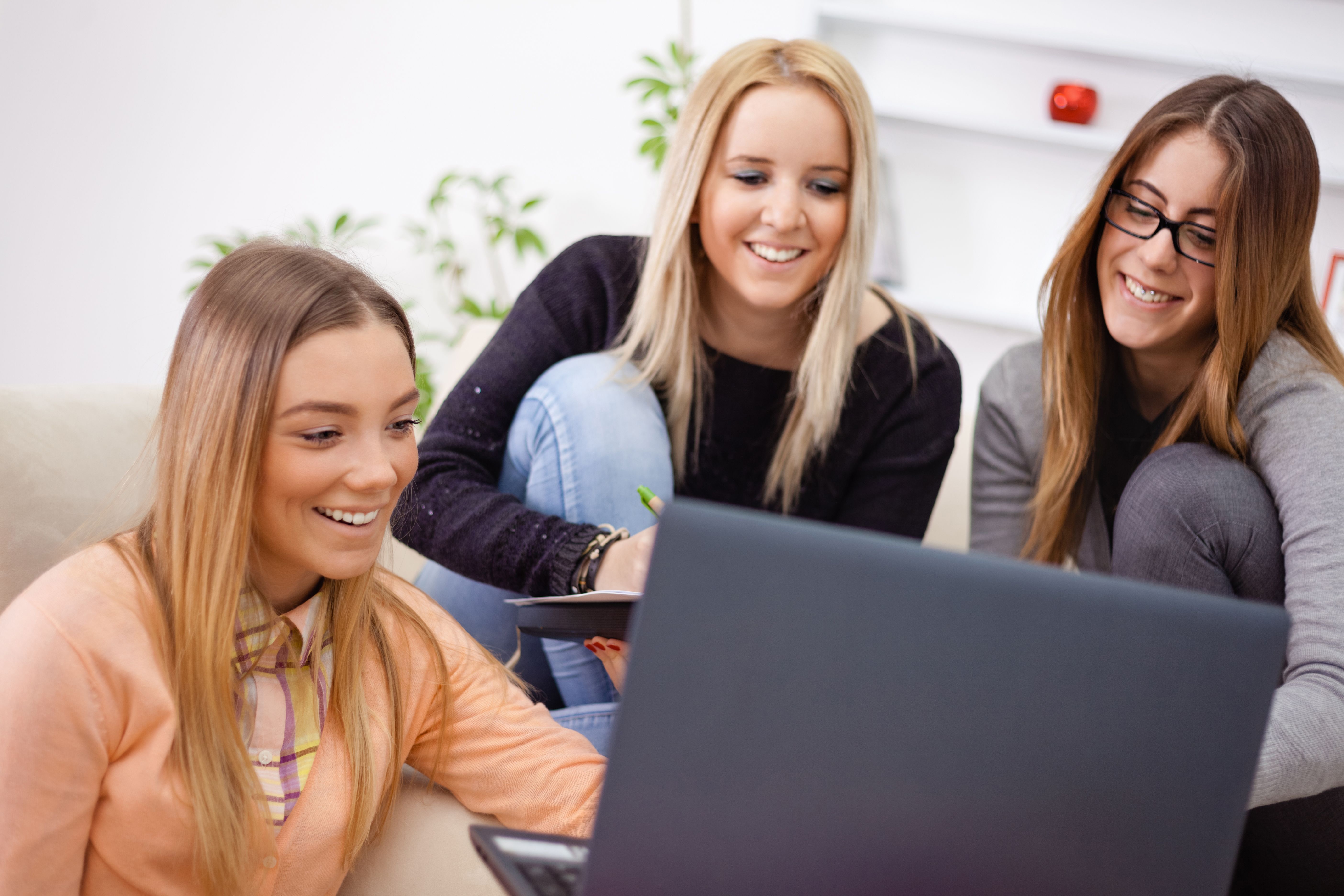 Young female friends studying together