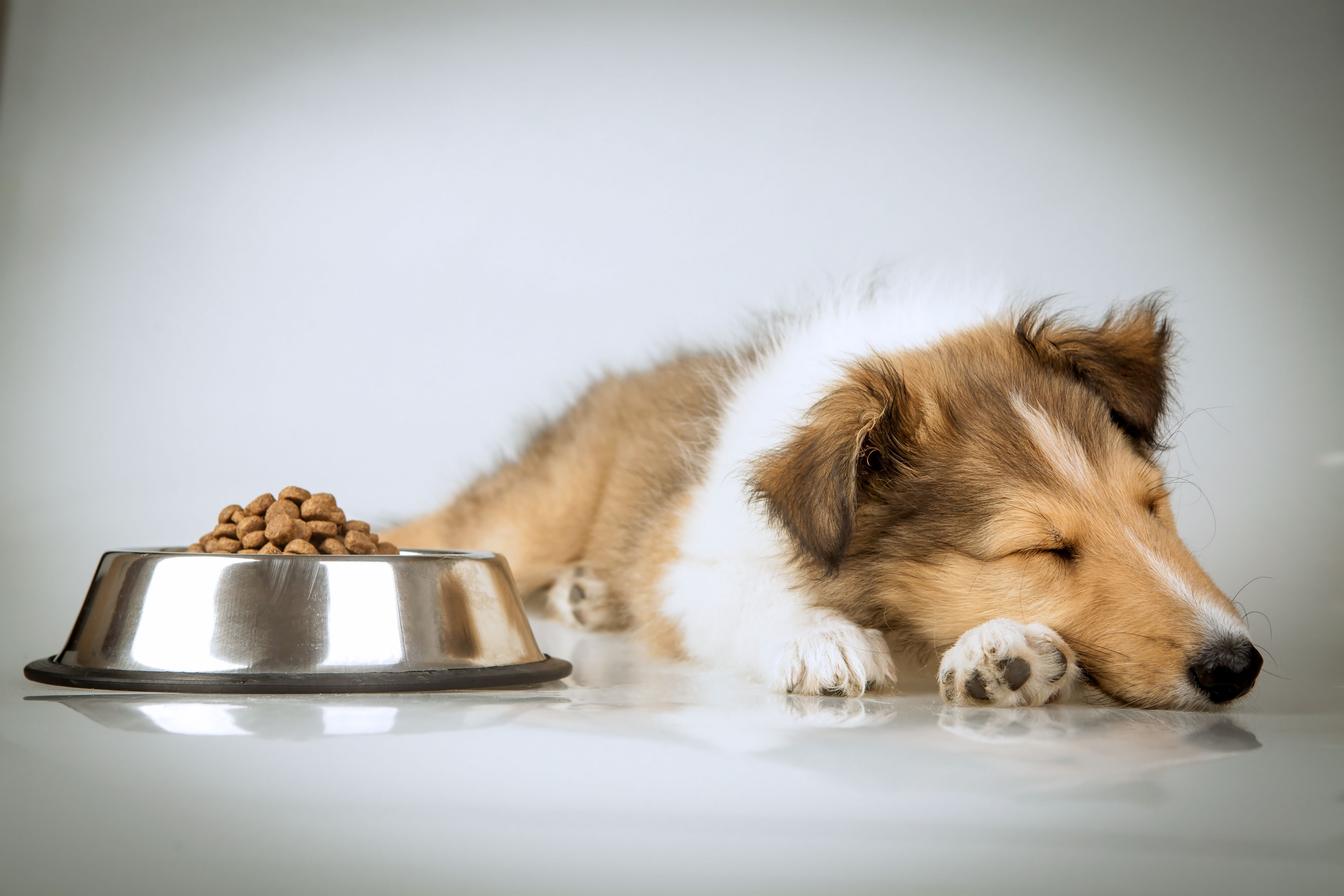 Dont want to eat Dont want to eat