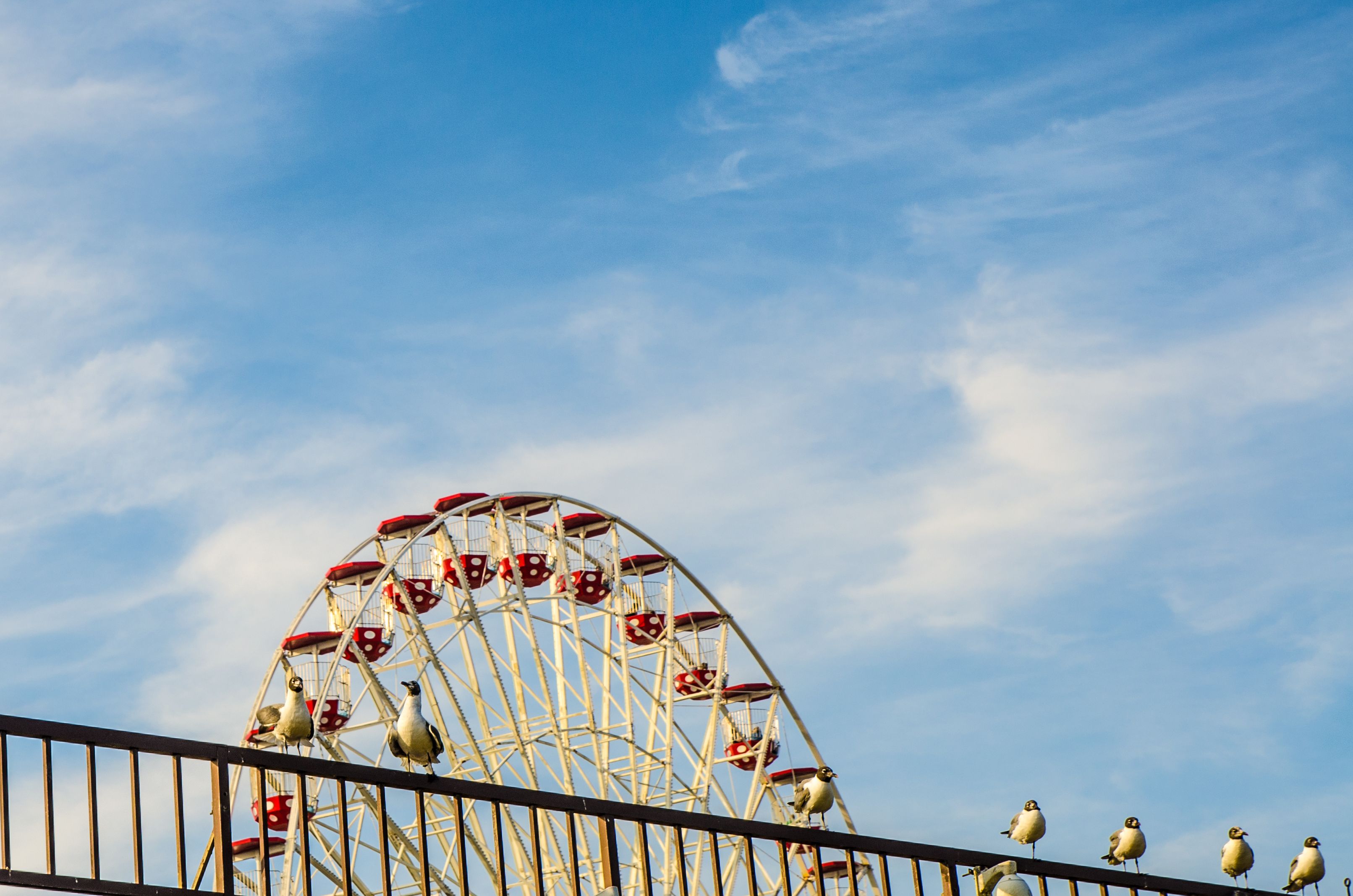 farmers market cape may
