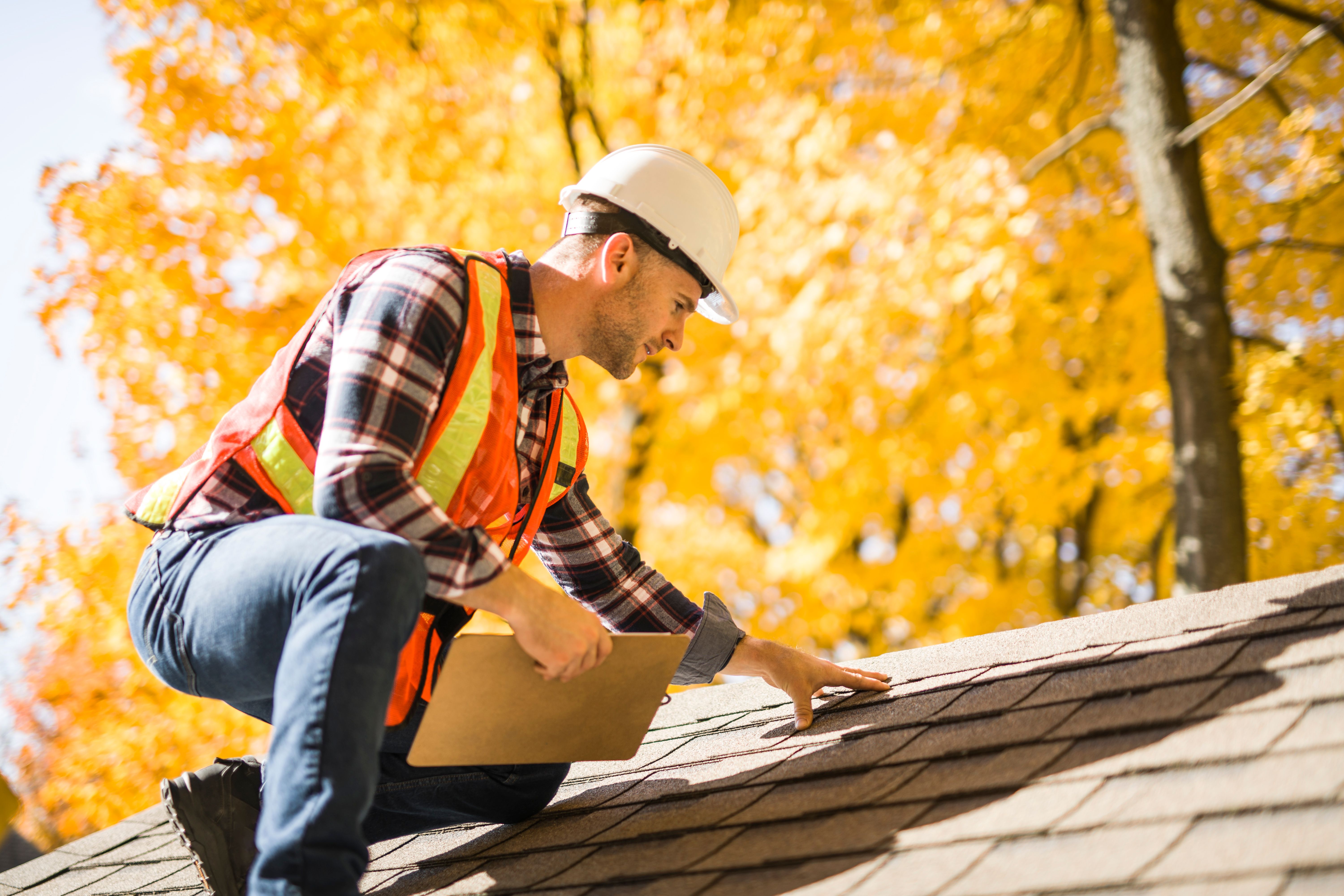 roof inspection