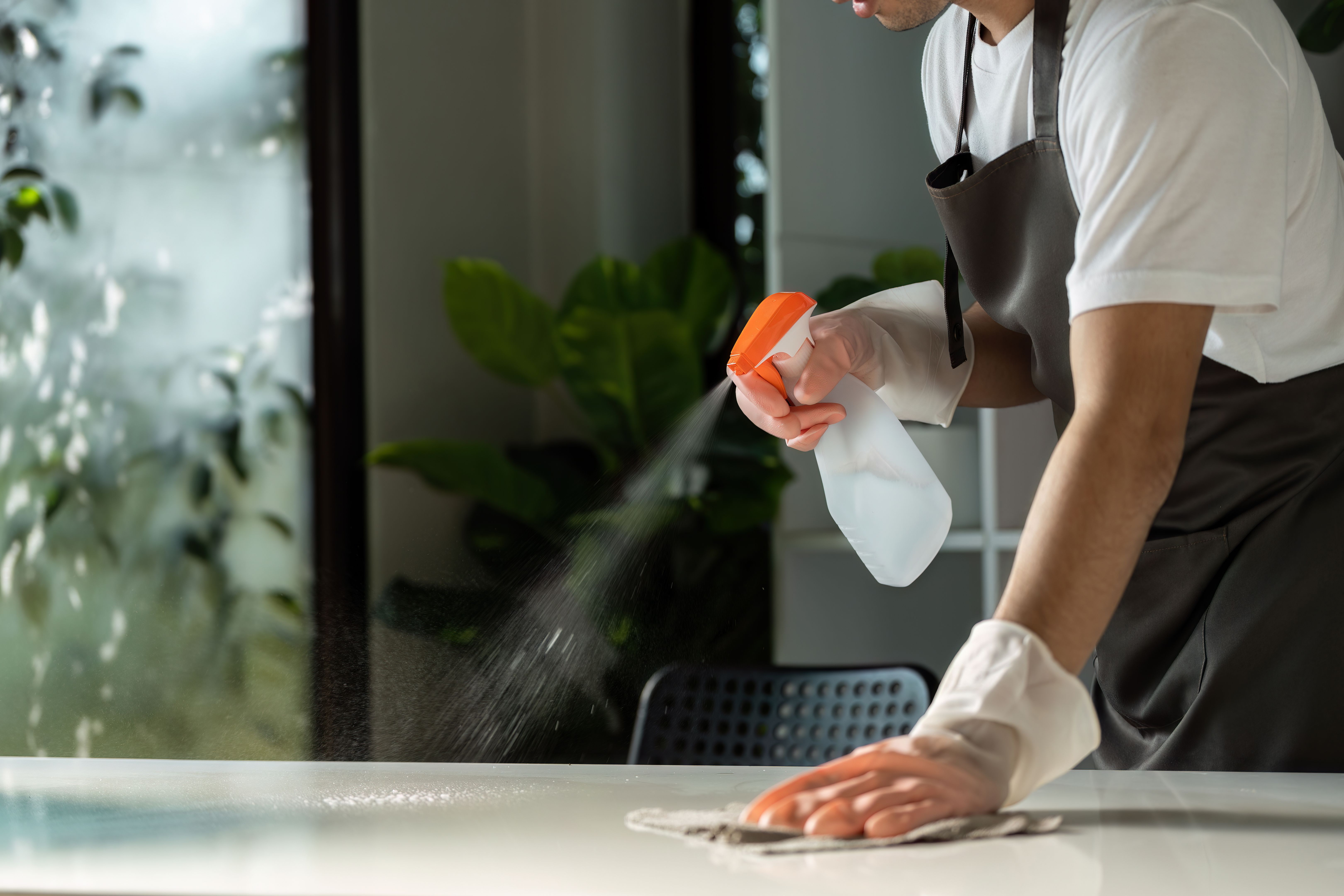 kitchen cleaning