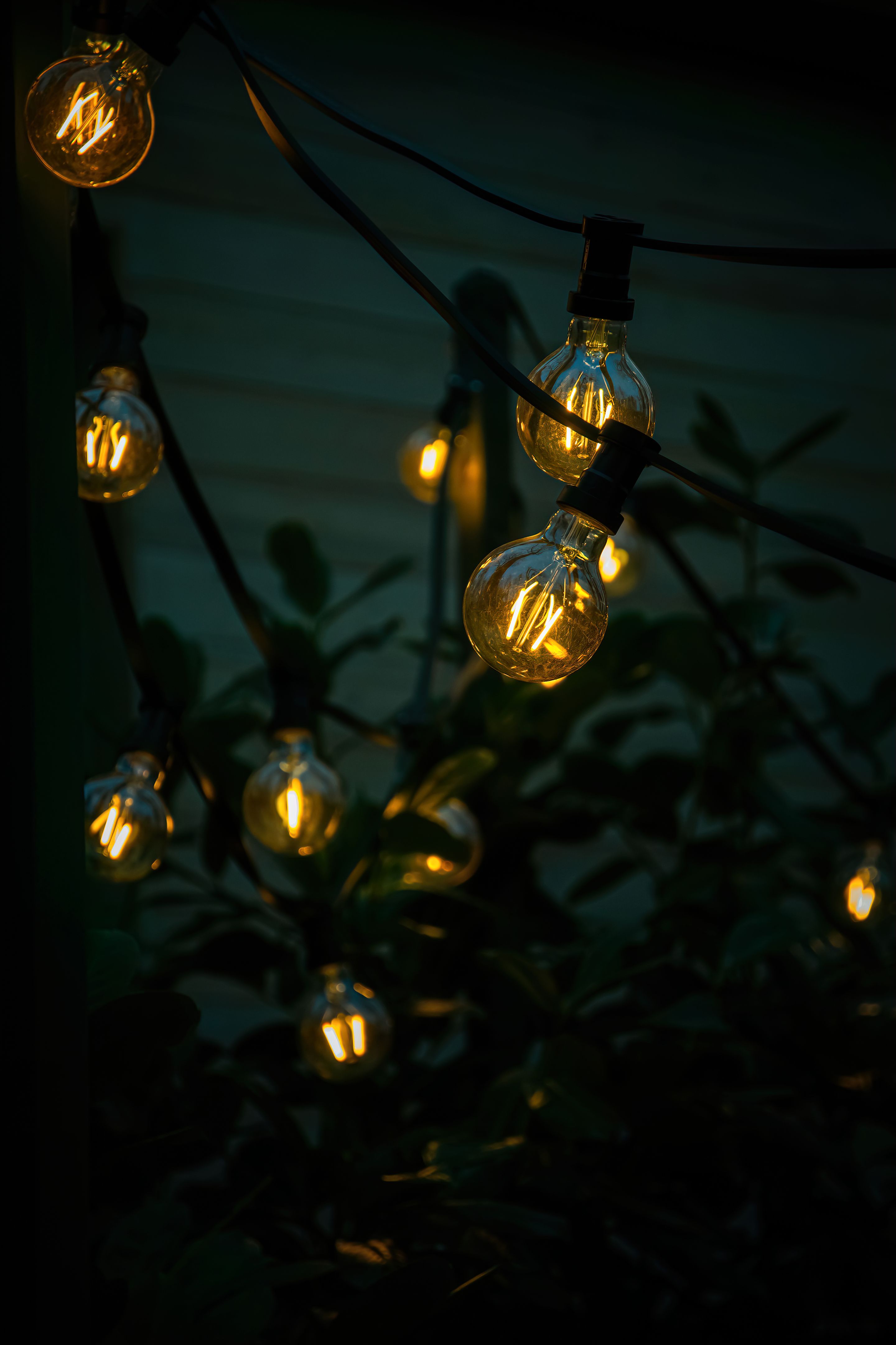 eco-friendly christmas lights