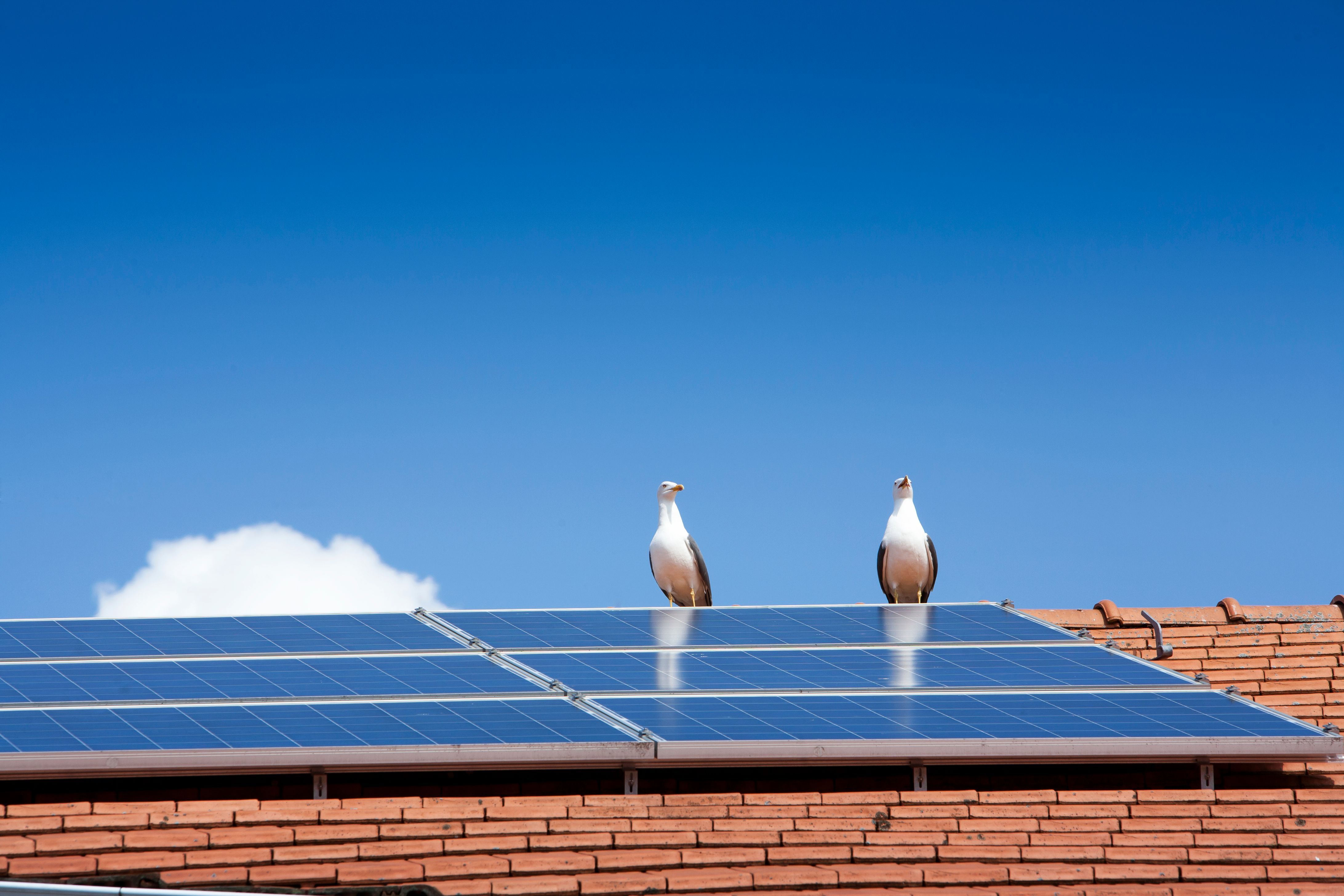 Solar  Energy